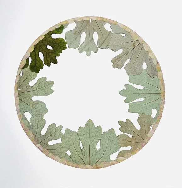 SPHERE, BLOODROT AND ZINNIA