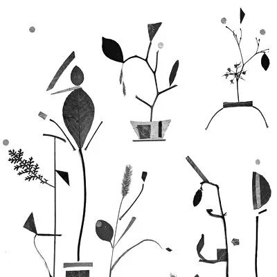 Botanical Collage
