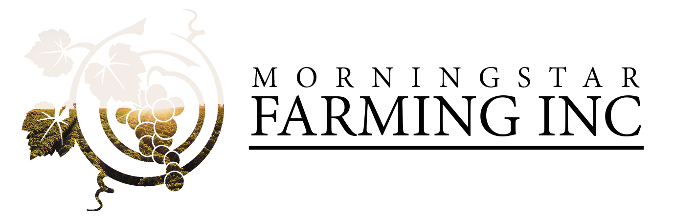 Morningstar Farming, Inc. 