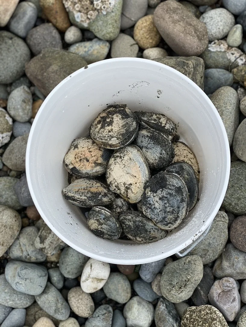 Clam Dig // Blake Island