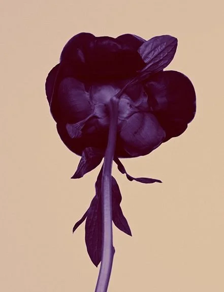 Ben Hassett photography.jpeg