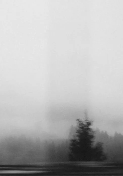 #noiretblanc (1).jpeg