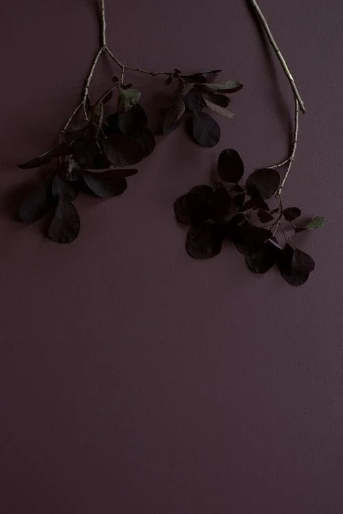 Ellis Paint — Atelier Ellis.jpeg