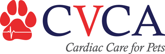 CVCA-logo.png
