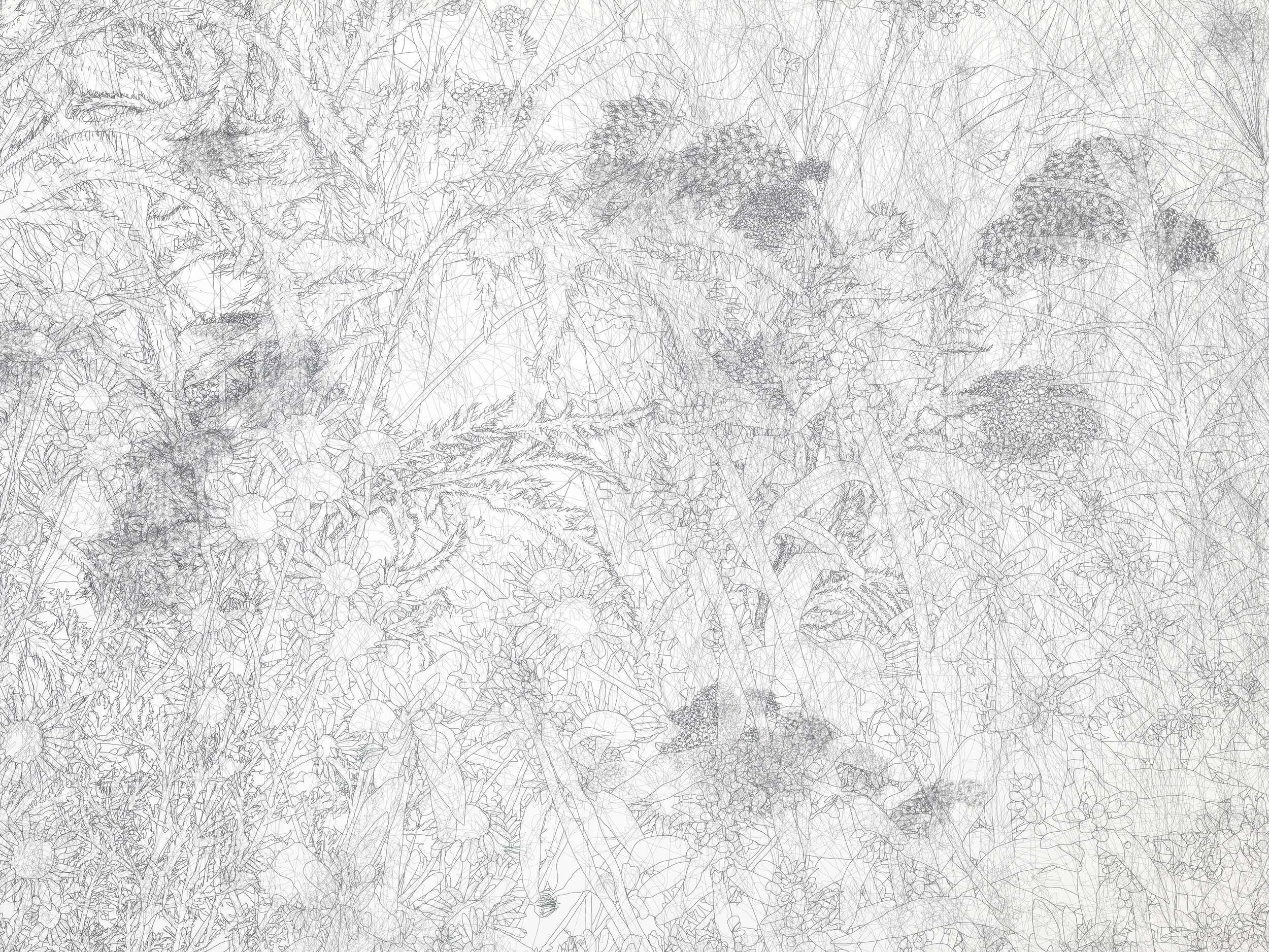 detail 4.jpg