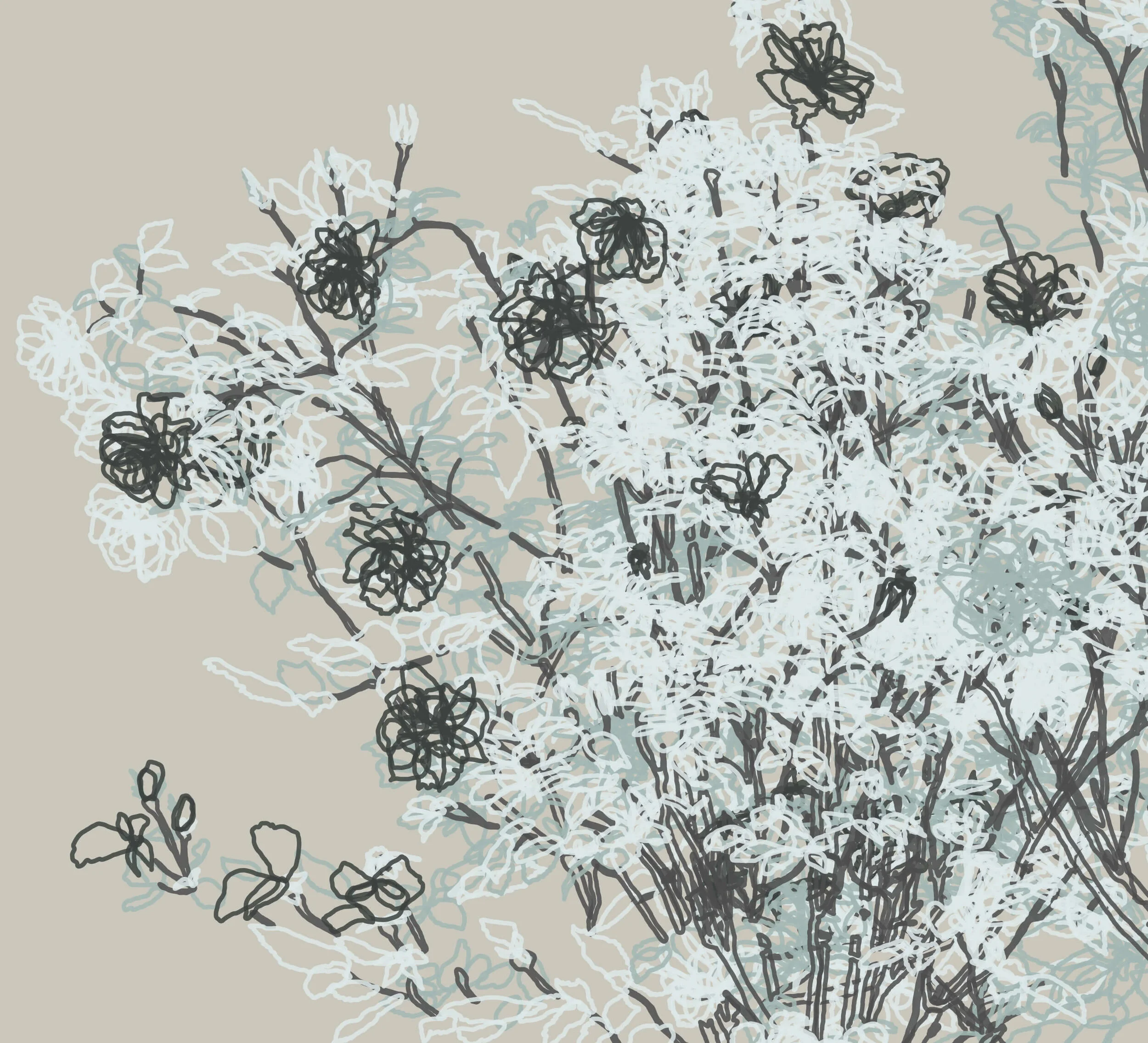 blk_blu_rose_lrg_01.jpg