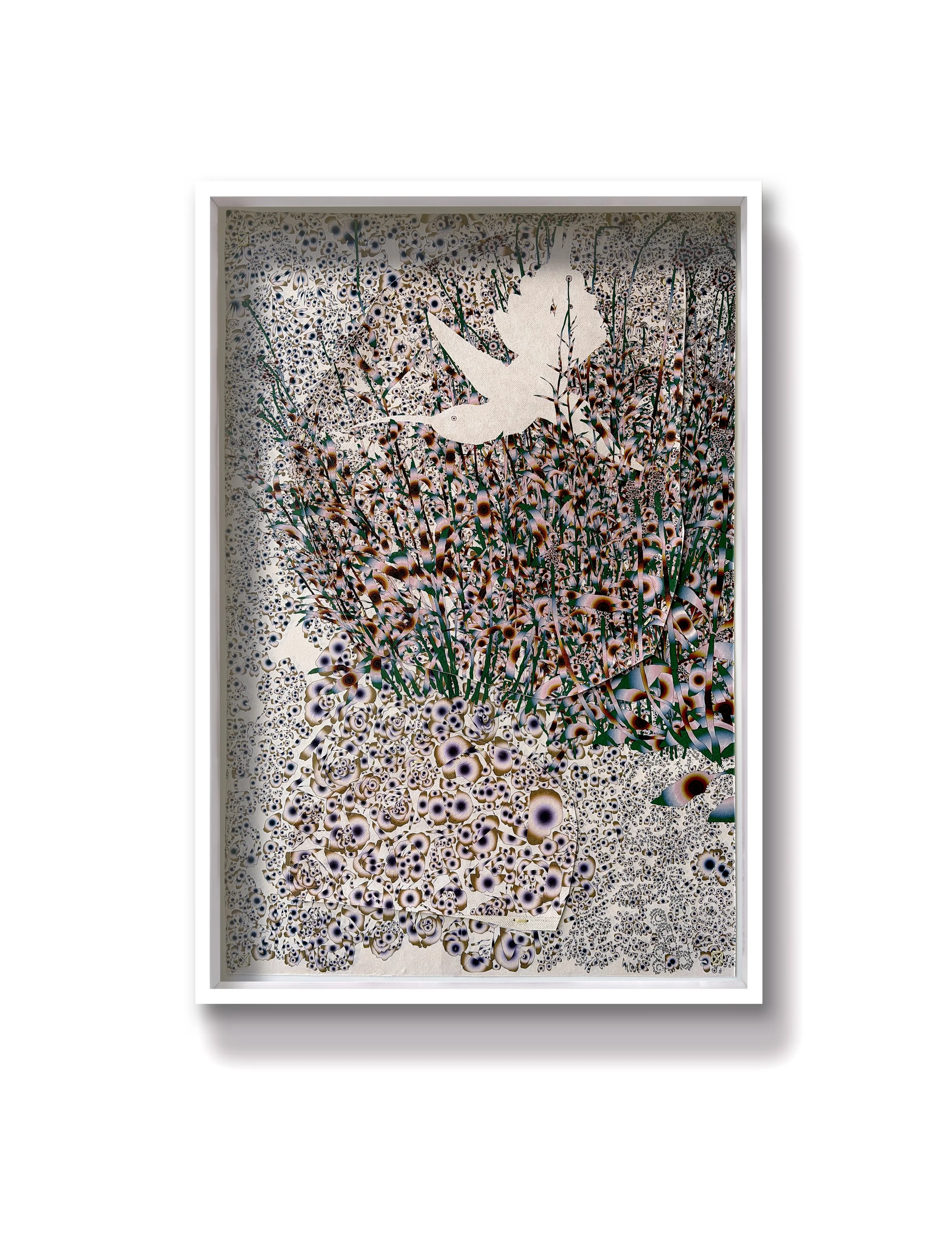 Thrum (humming-bird)