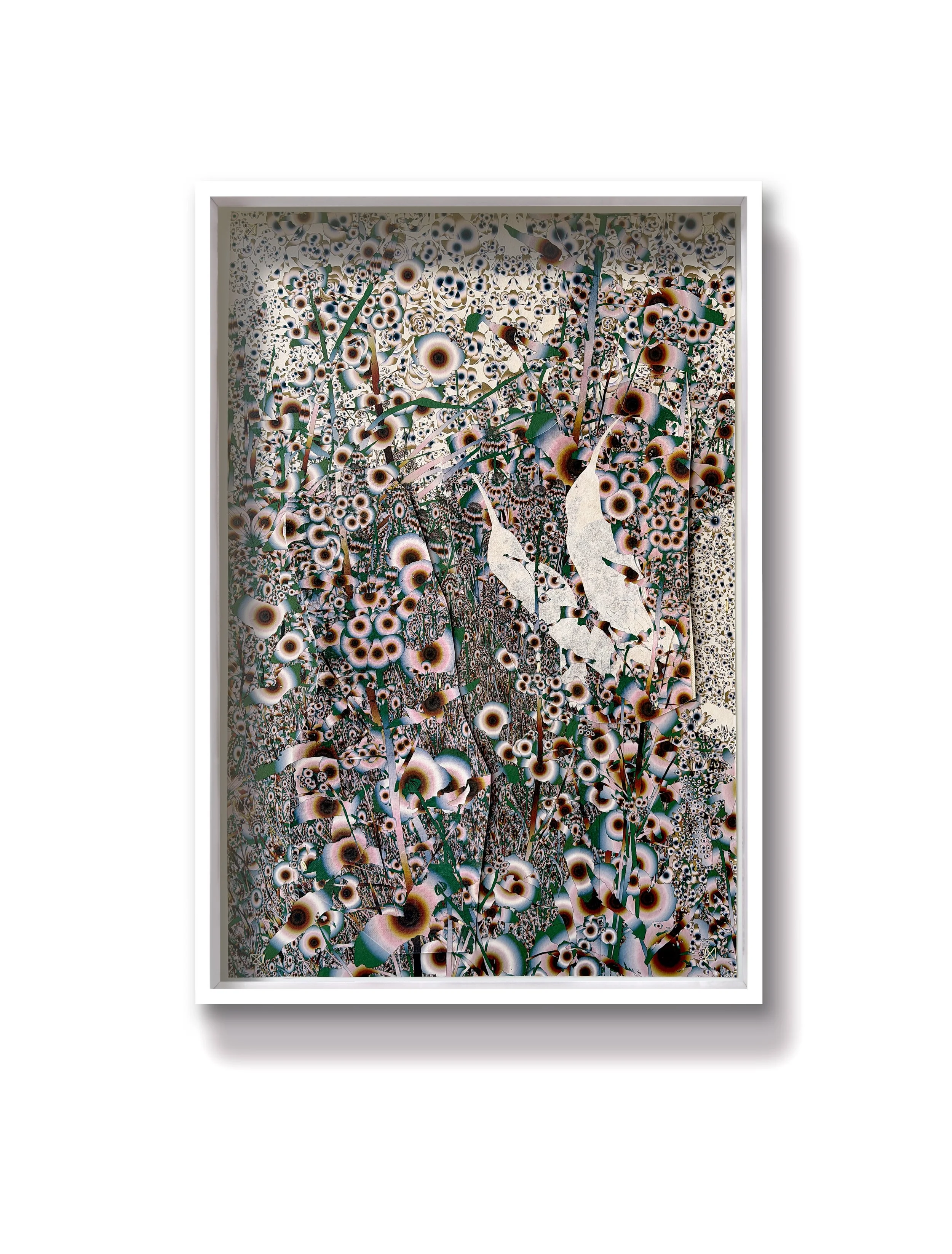 Thrum (humming-birds)