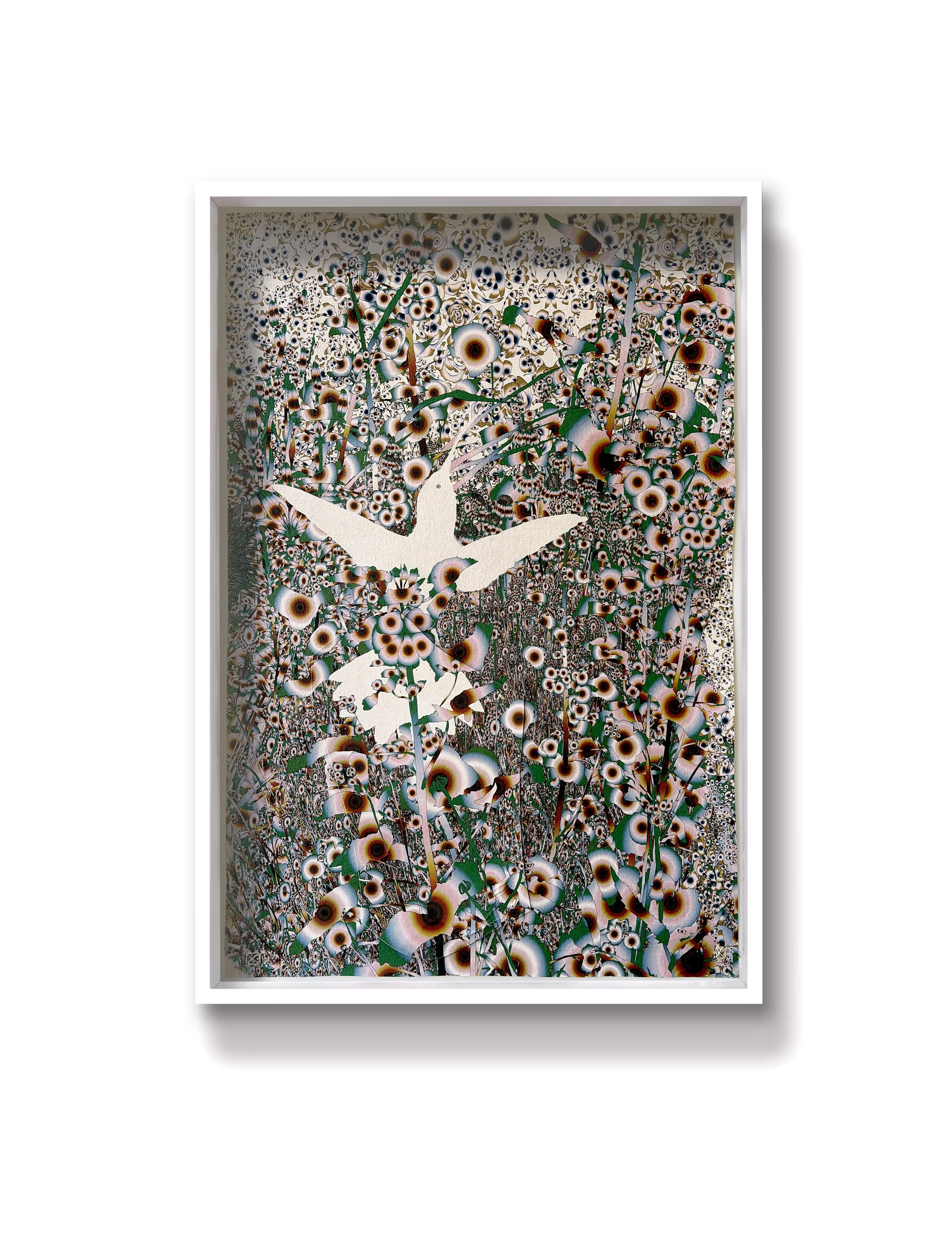 Thrum (humming-bird) 