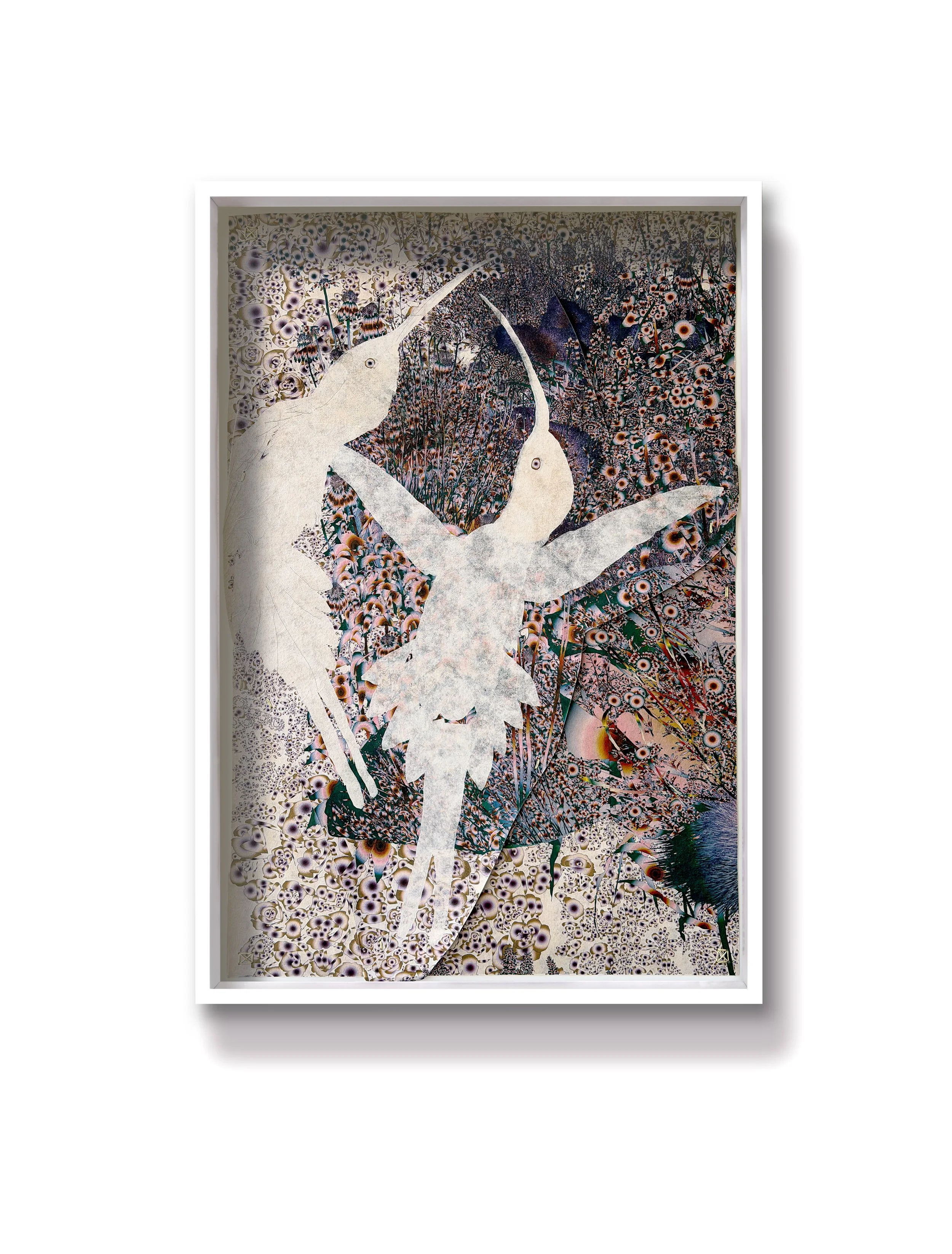 Thrum (humming-birds)