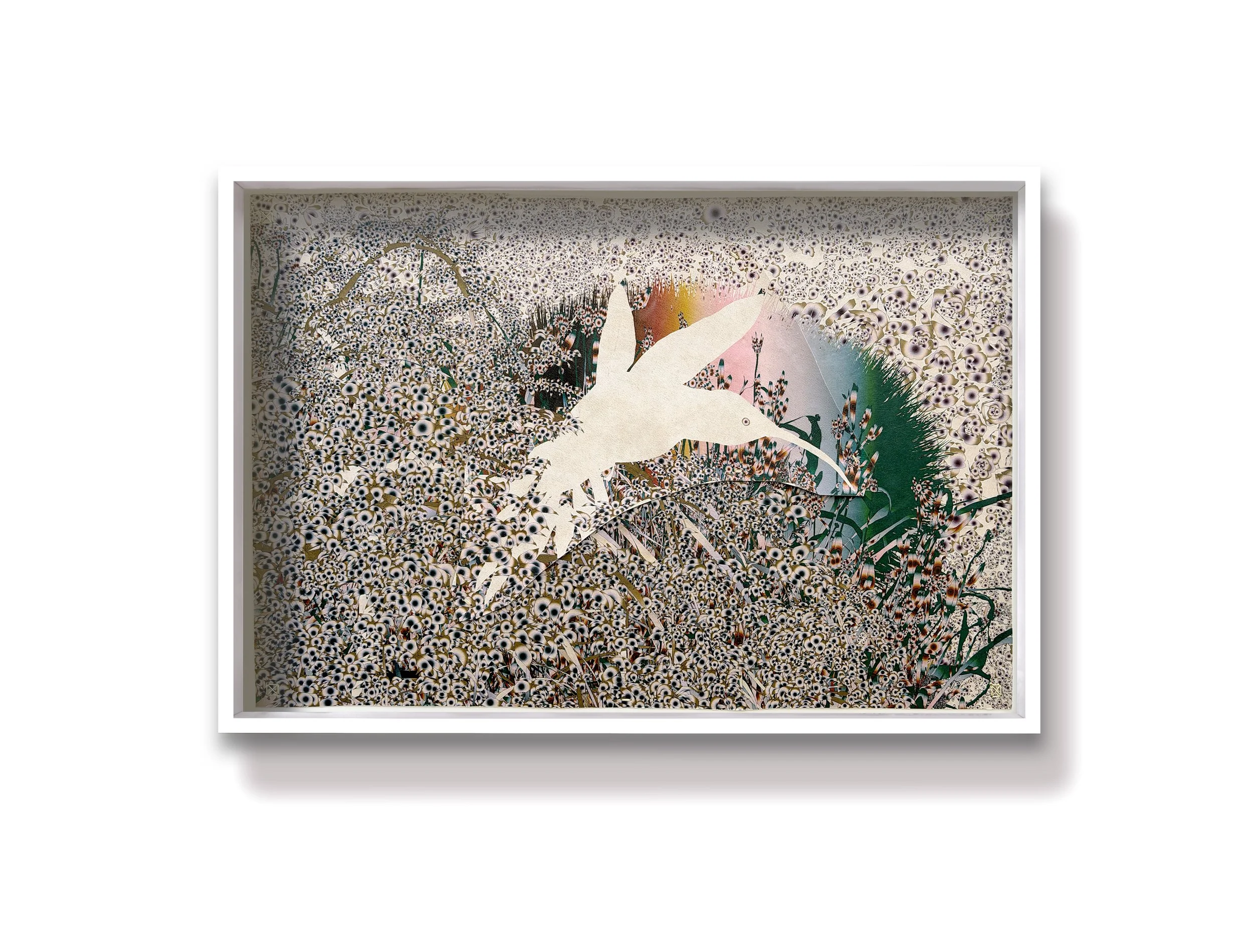 Thrum (humming-bird)