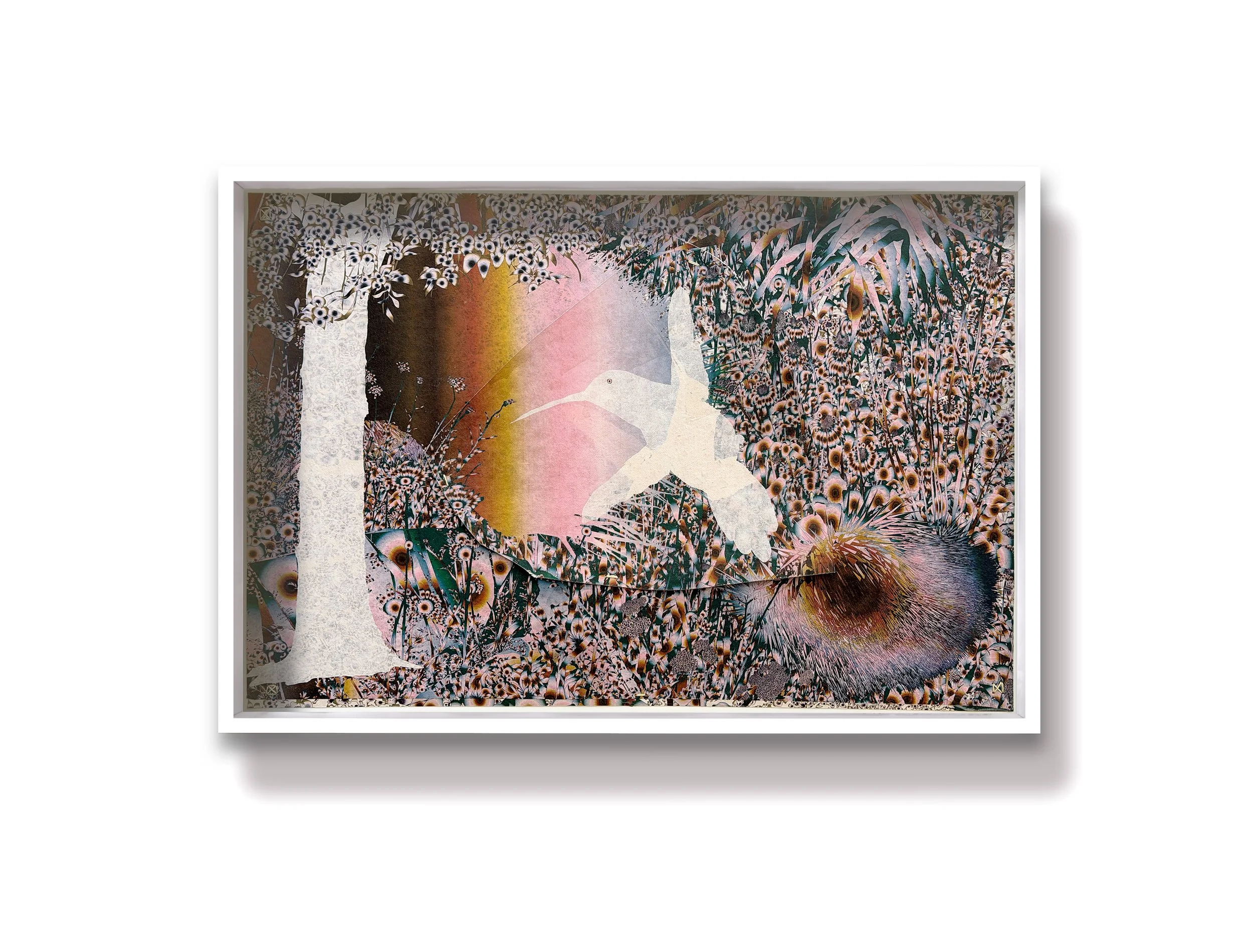 Thrum (humming-bird) 