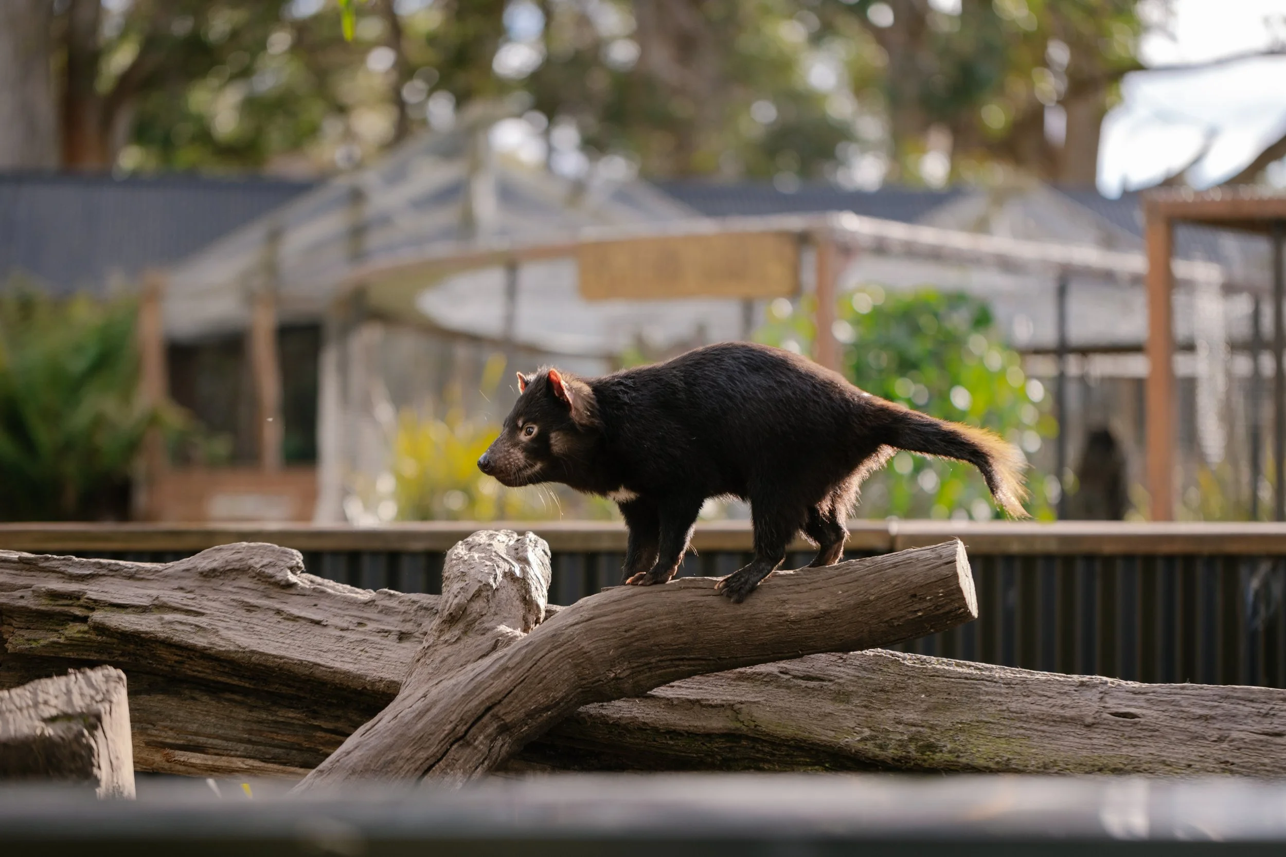 BrandTasmania_Bob-Muller_Lifestyle_080.jpg