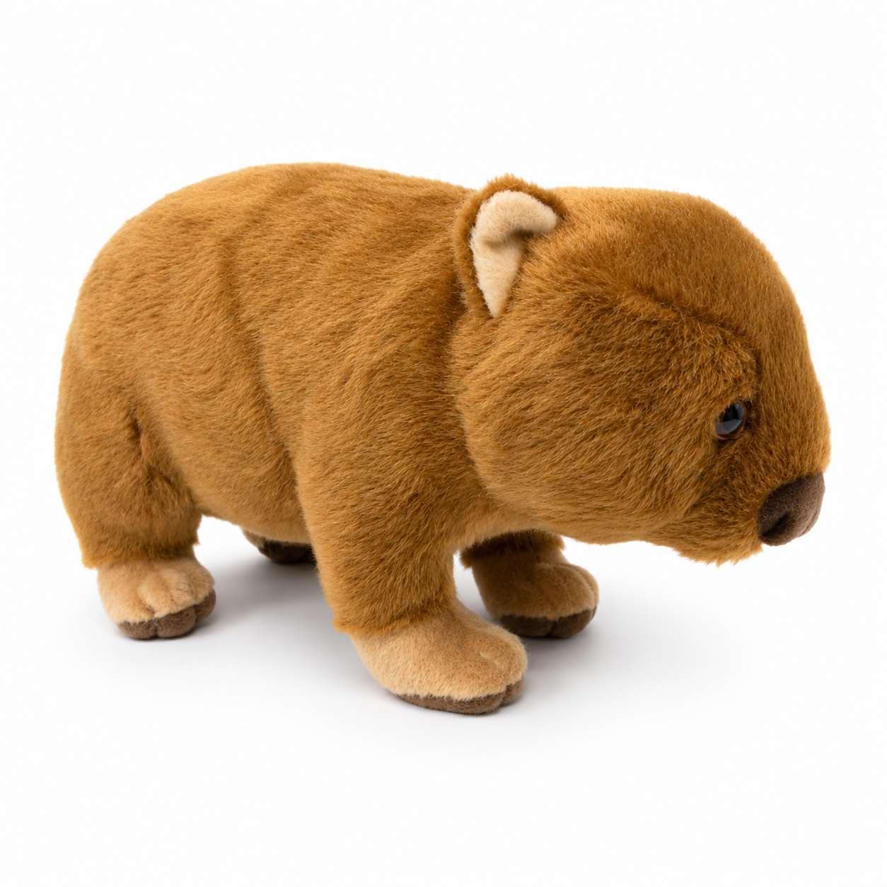Southern Habitat Wombat Plush Toy