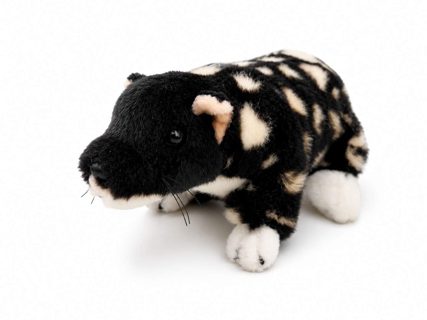 Polka Eastern Quoll Plush Toy