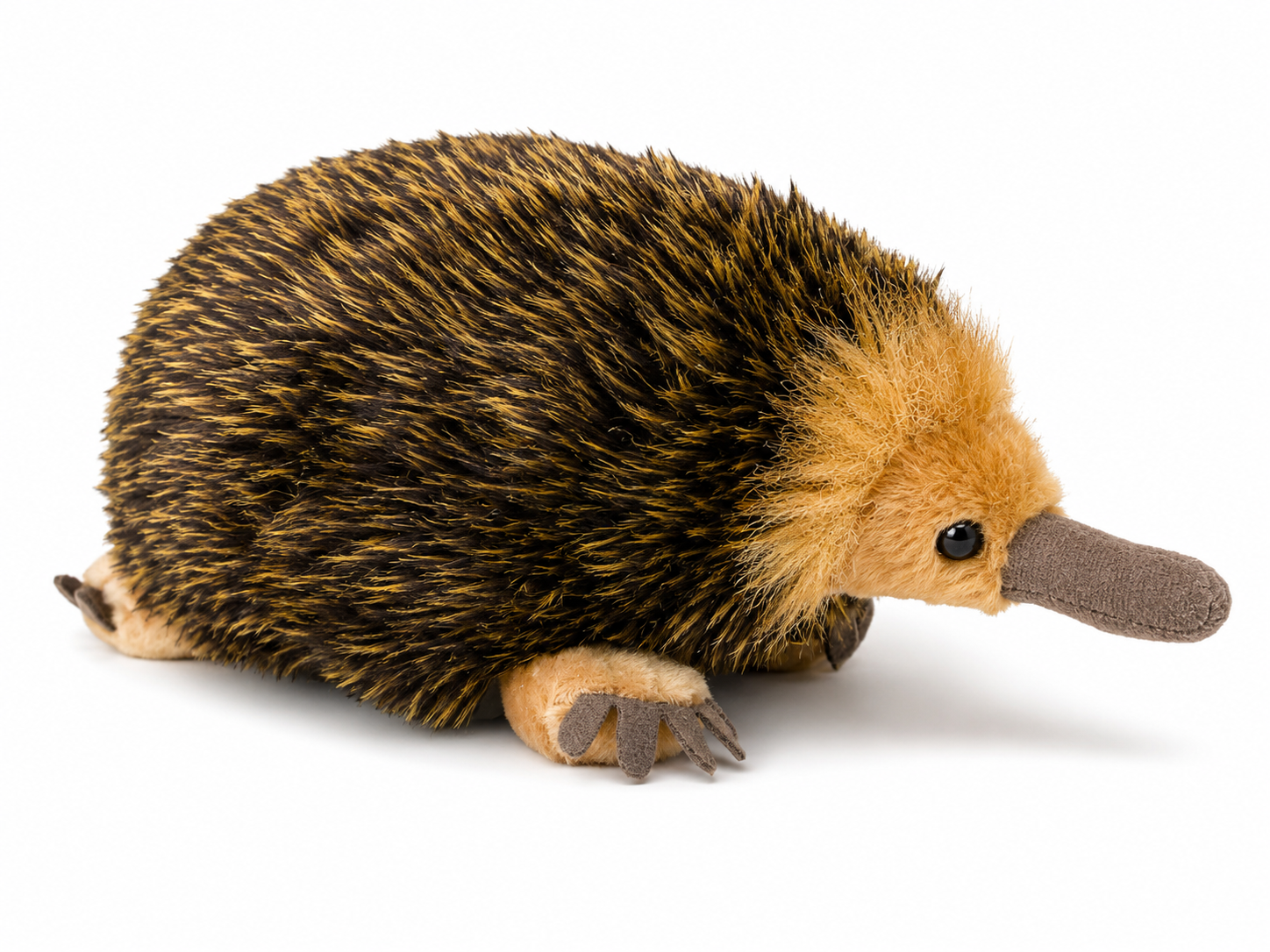 Southern Habitat Echidna Plush Toy