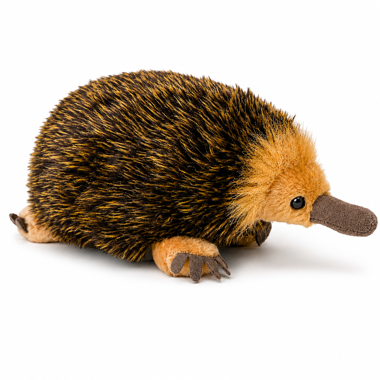 Southern Habitat Echidna Plush Toy