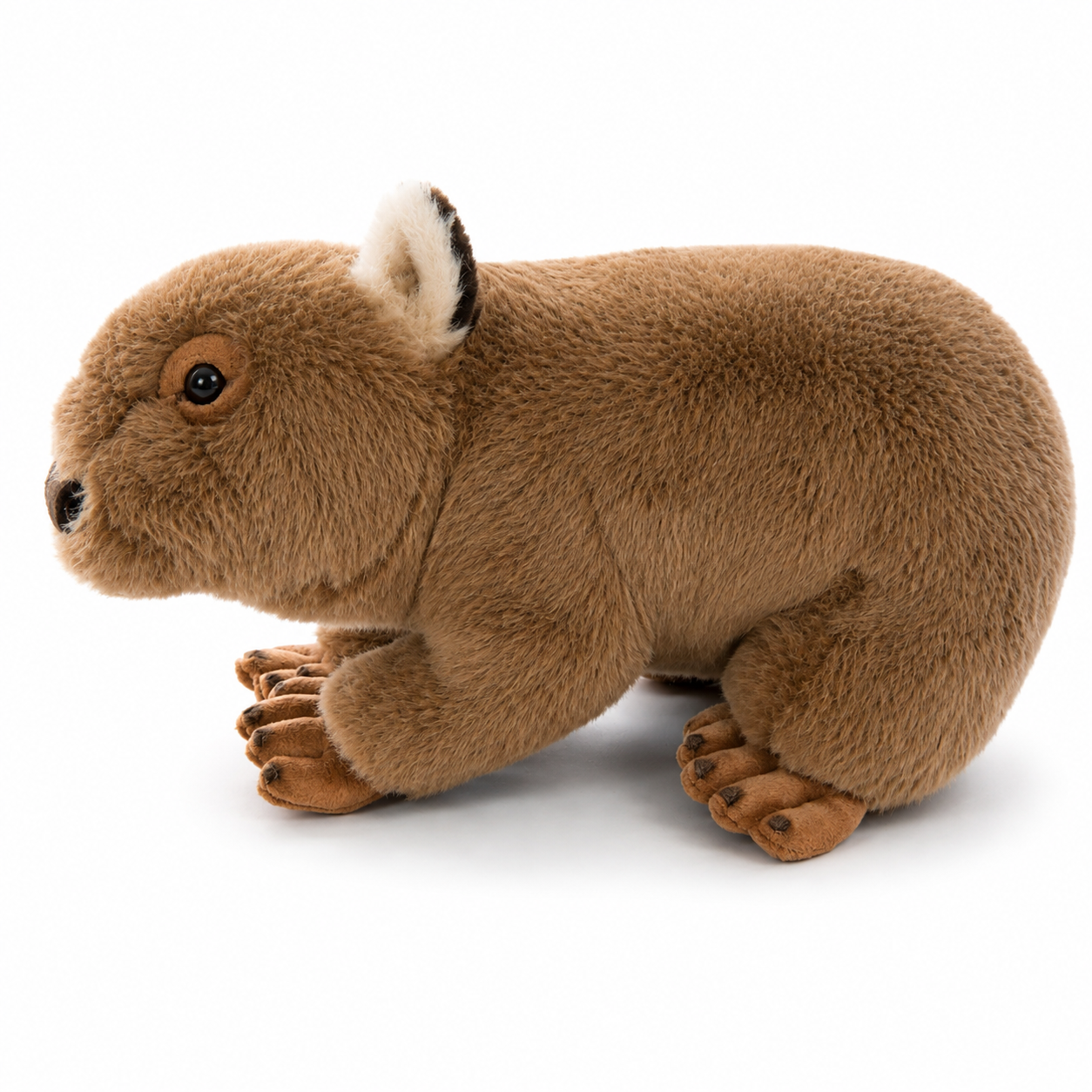 Georgina Wombat