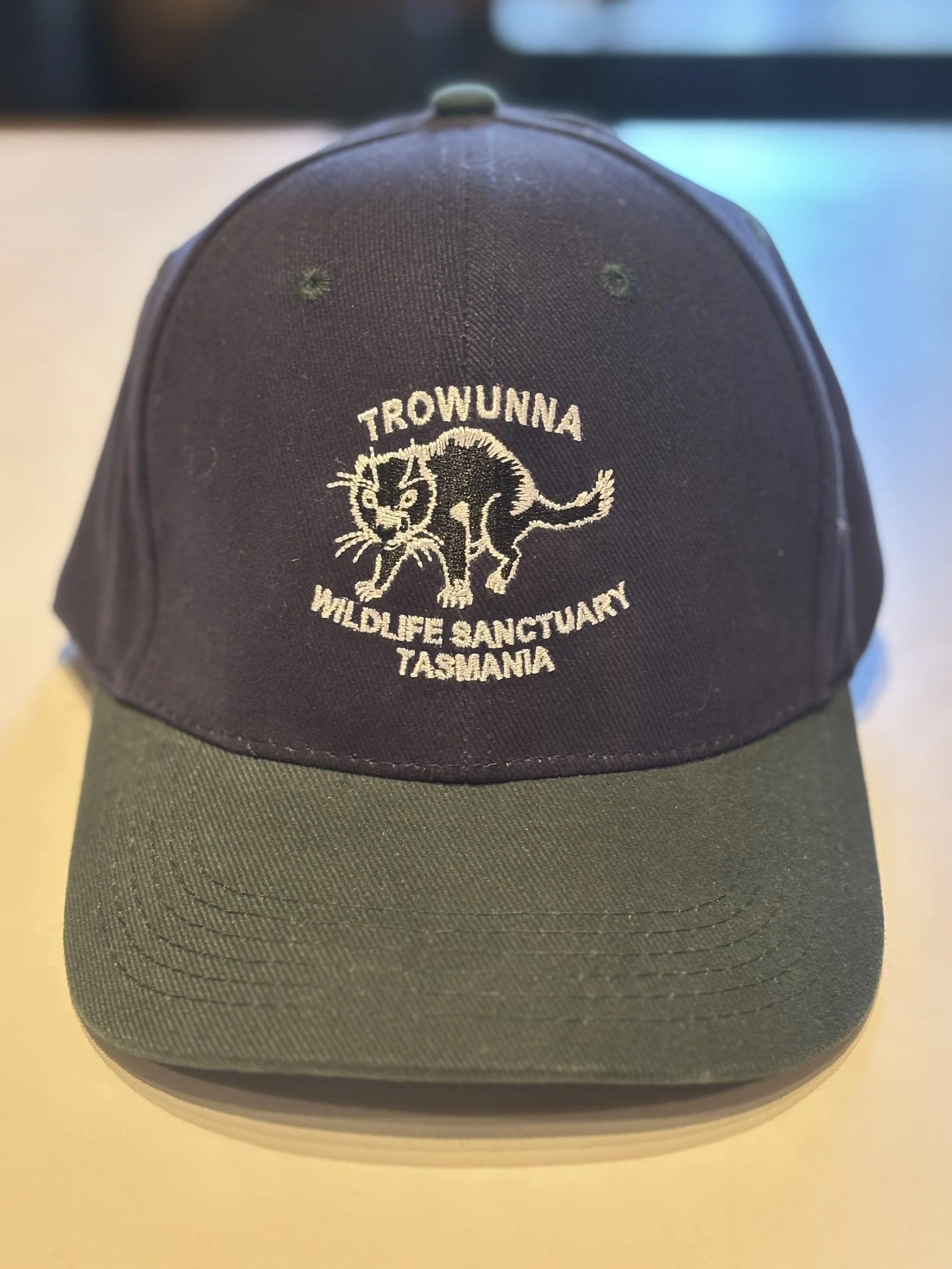 Cap Bottle Green-Navy.jpg