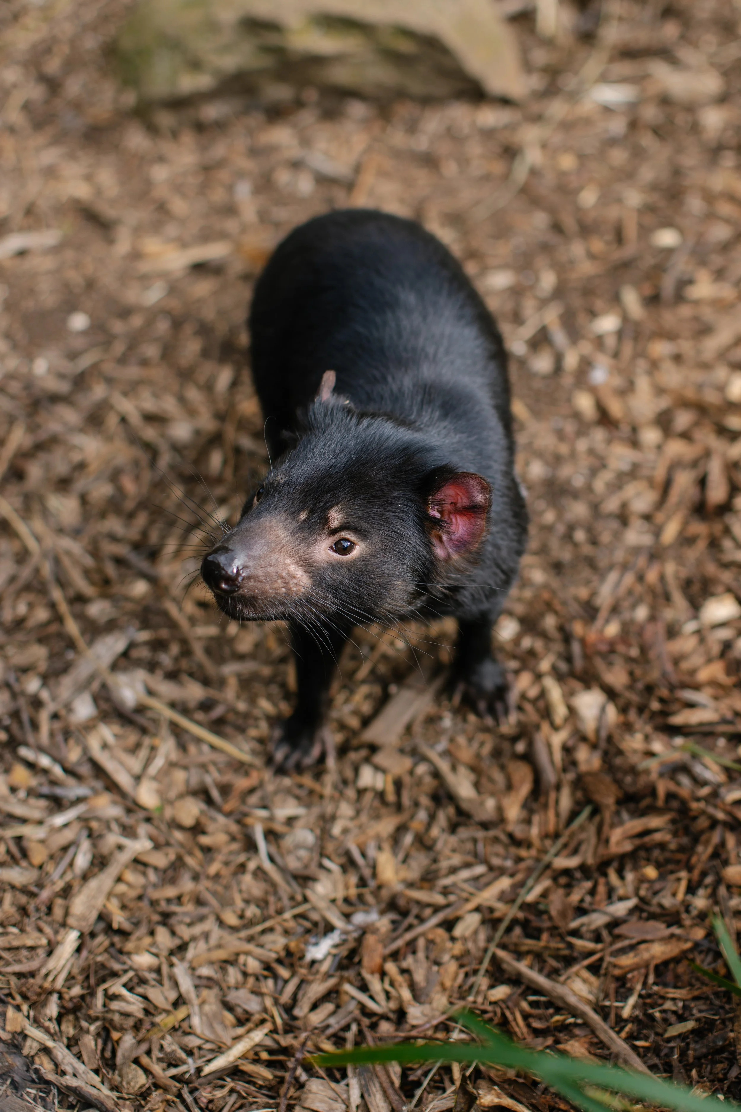 BrandTasmania_Bob-Muller_Lifestyle_007.jpg