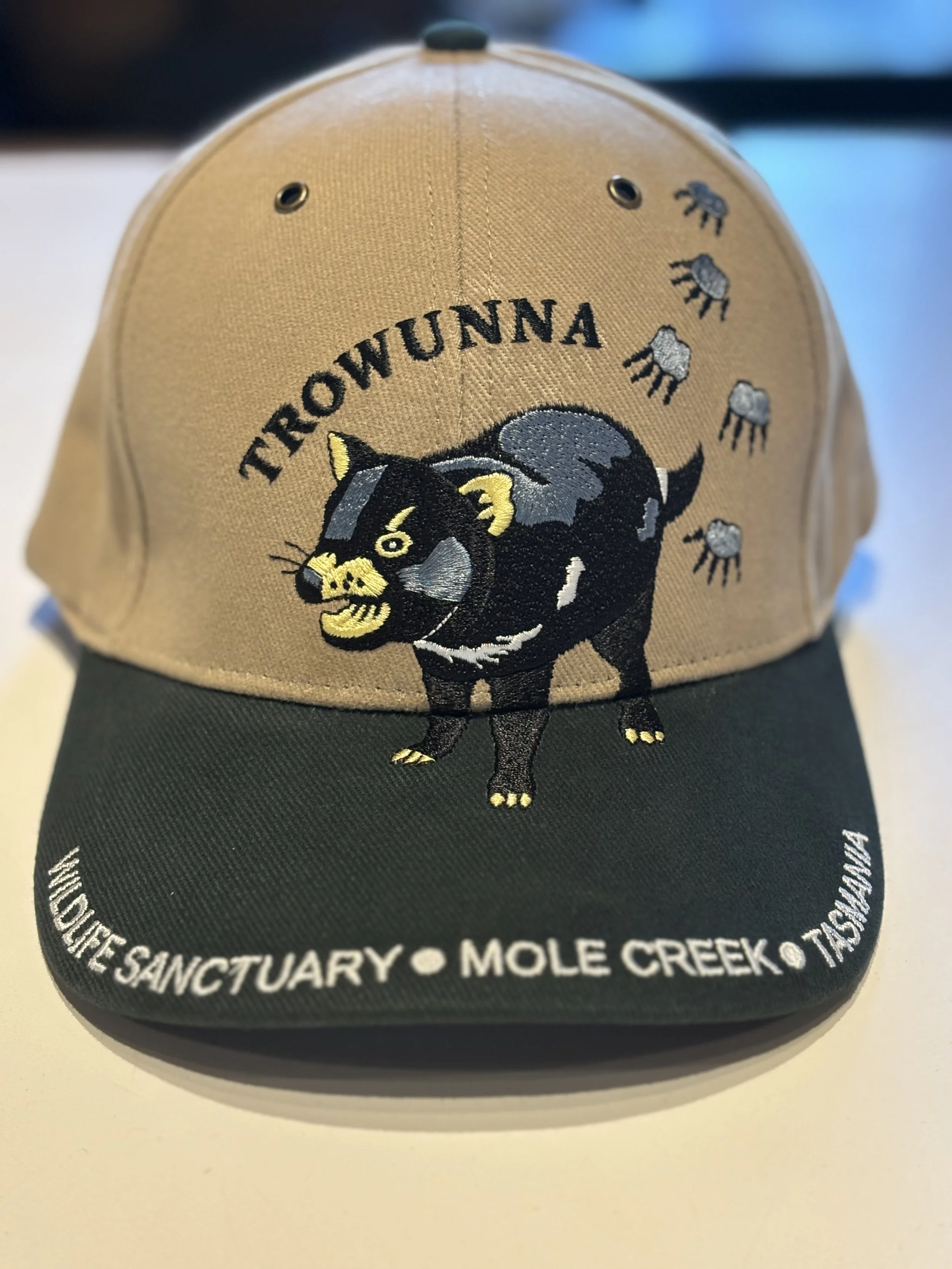 New TWS cap.jpg