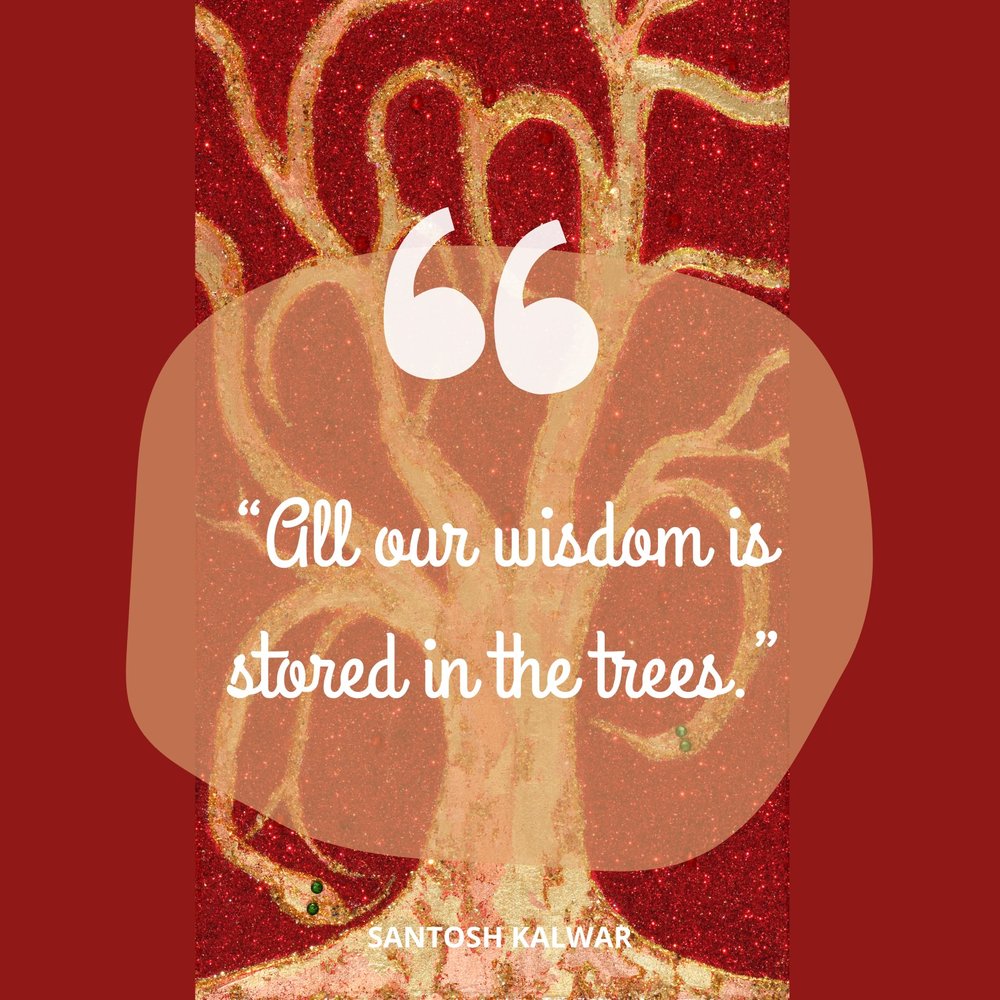 afterglow-Wisdom Trees Quote.jpg