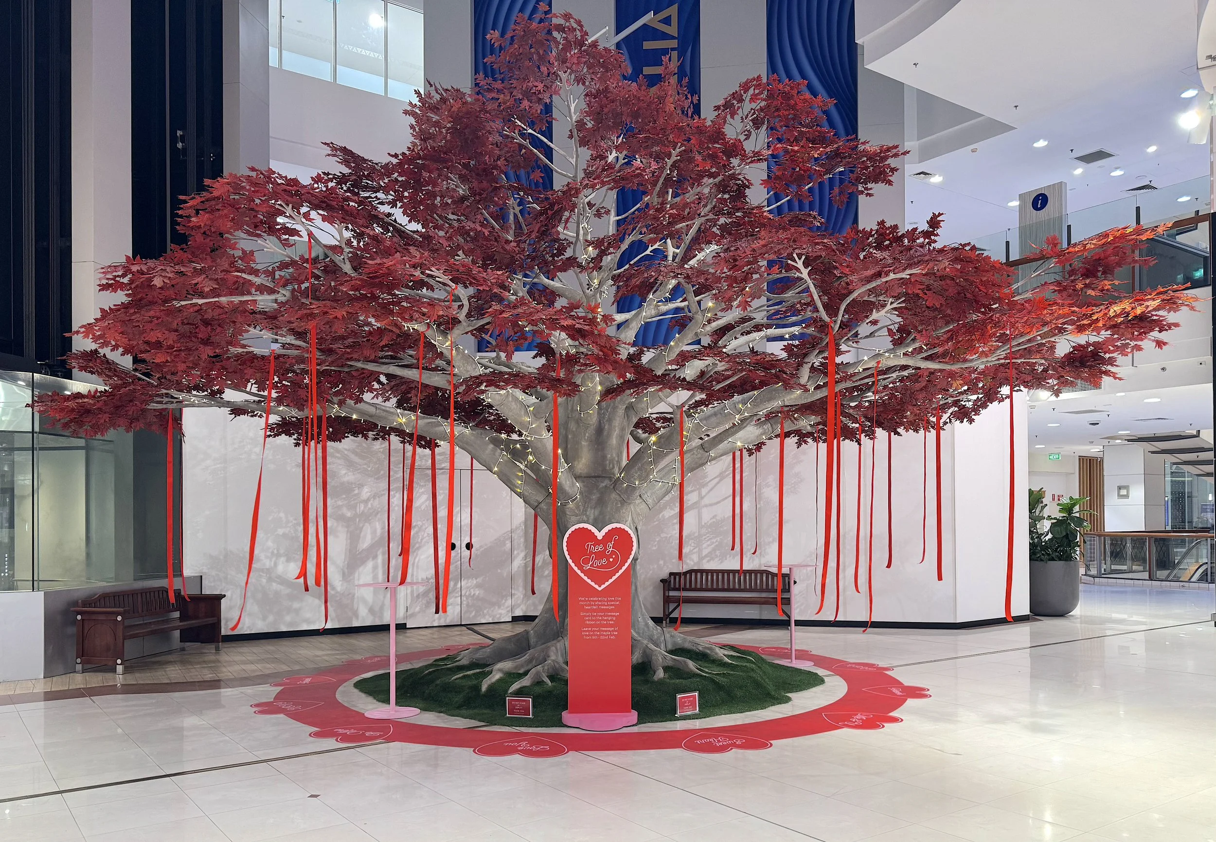 Autumn-Grove-Events-Red-Maple-Tree-Australia-Fair-Wide.jpg