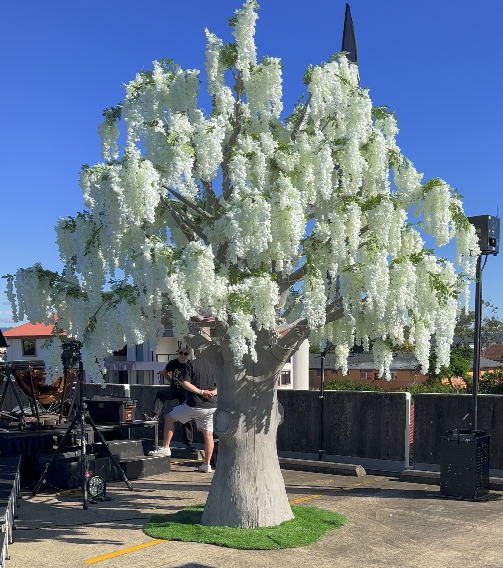 Autumn-Grove-Events-White-Wisteria-Elm-Tree.png