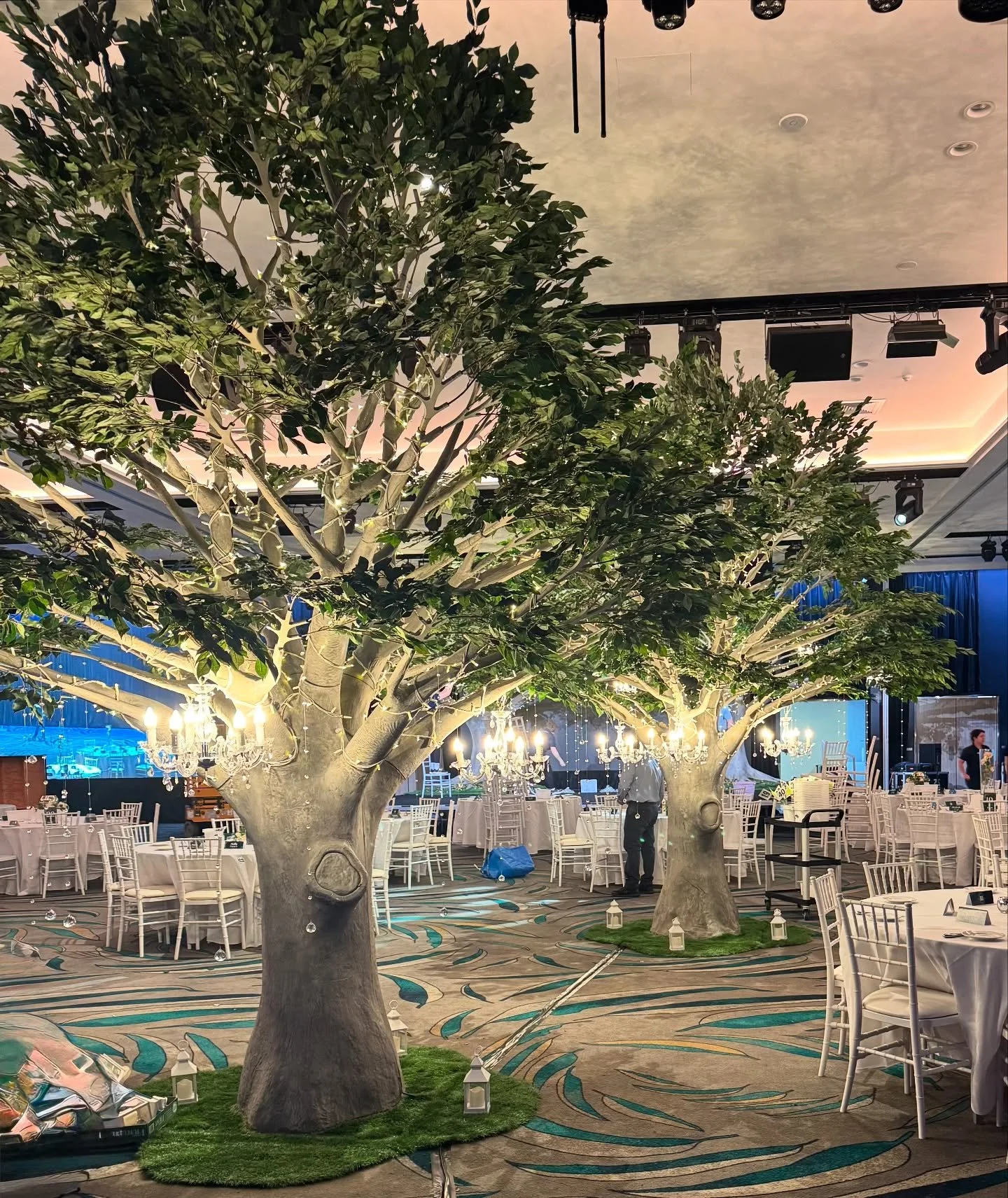 Need a tall focal point but working with a tight floor plan? 🤷🏼&zwj;♀️Our elm trees are the answer! Standing 4m tall with a 4m branch span they instantly draw attention but only take up 1x1m of floor space! 🙌🏻 And what&rsquo;s better is you can c