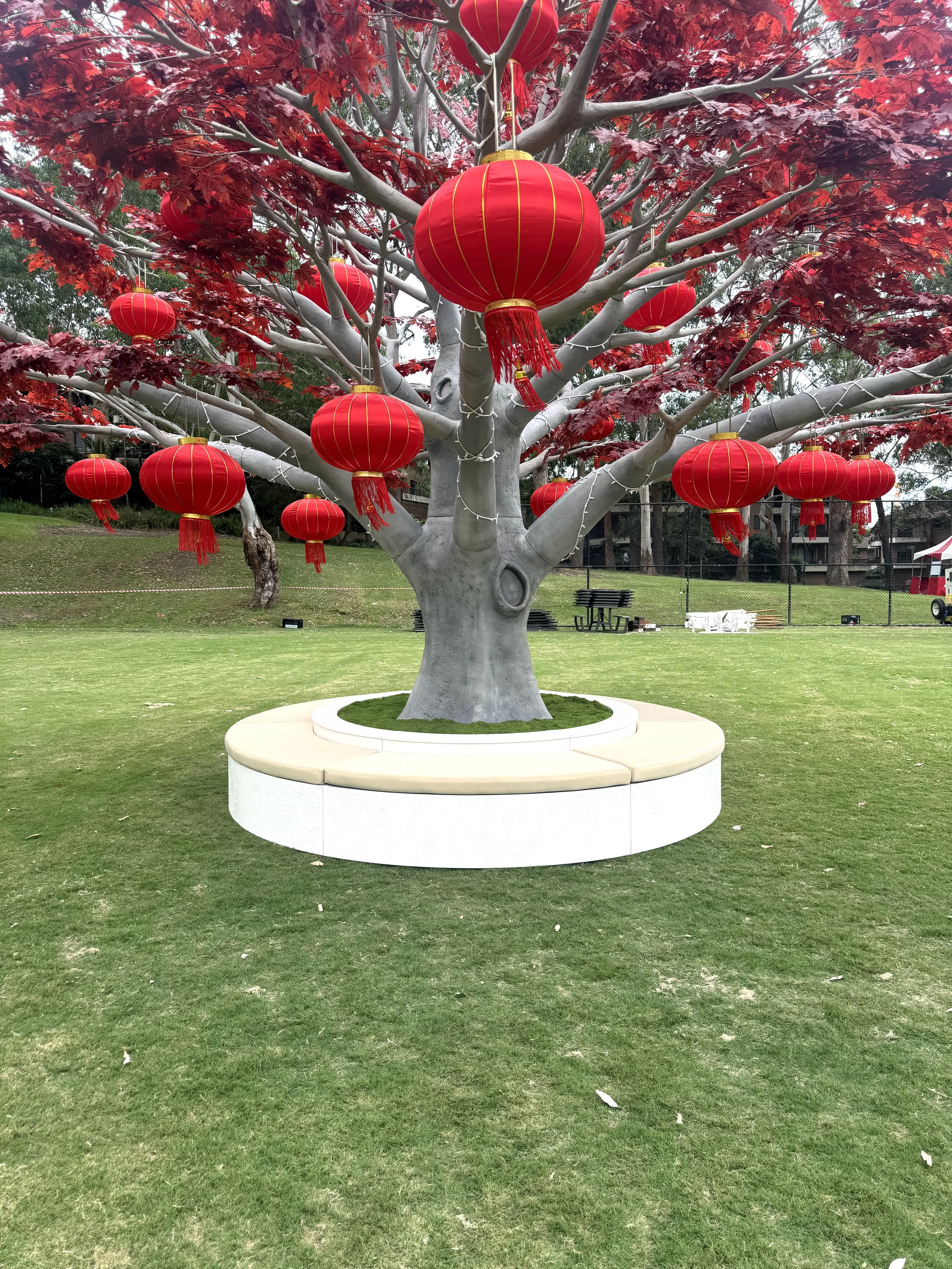 Autumn-Grove-Events-Chinese-Lanterns-In-Tree-Outside.jpg