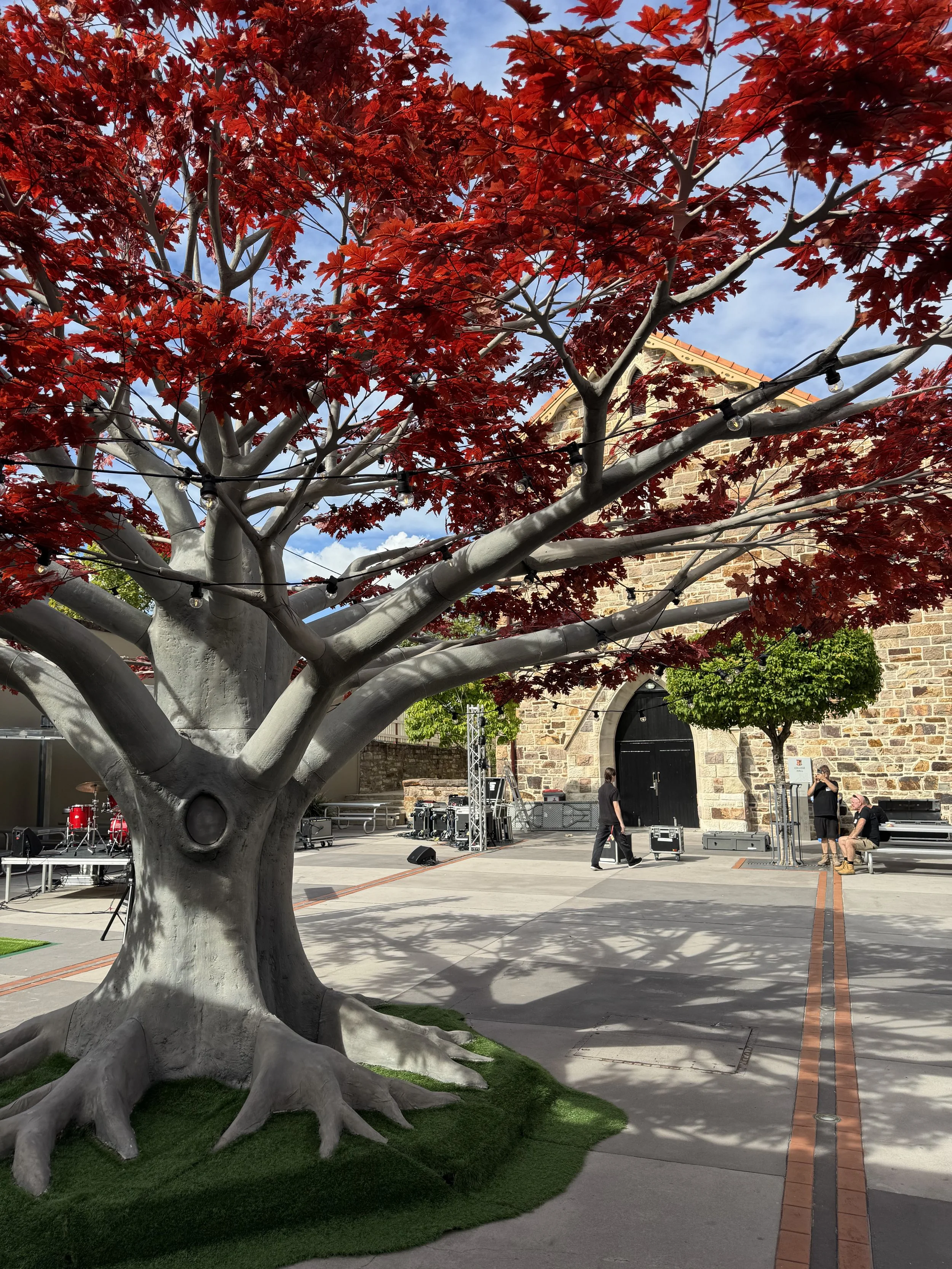 Autumn-Grove-Events-Red-Maple-Tree-St-Jospehs-Close.jpg