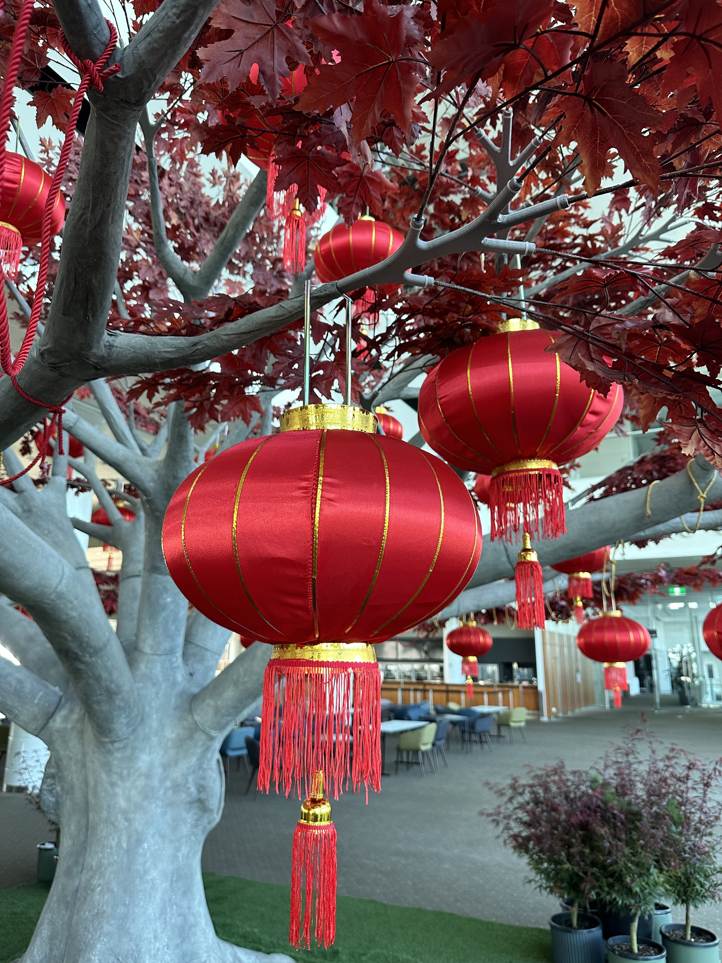 CHINESE LANTERNS