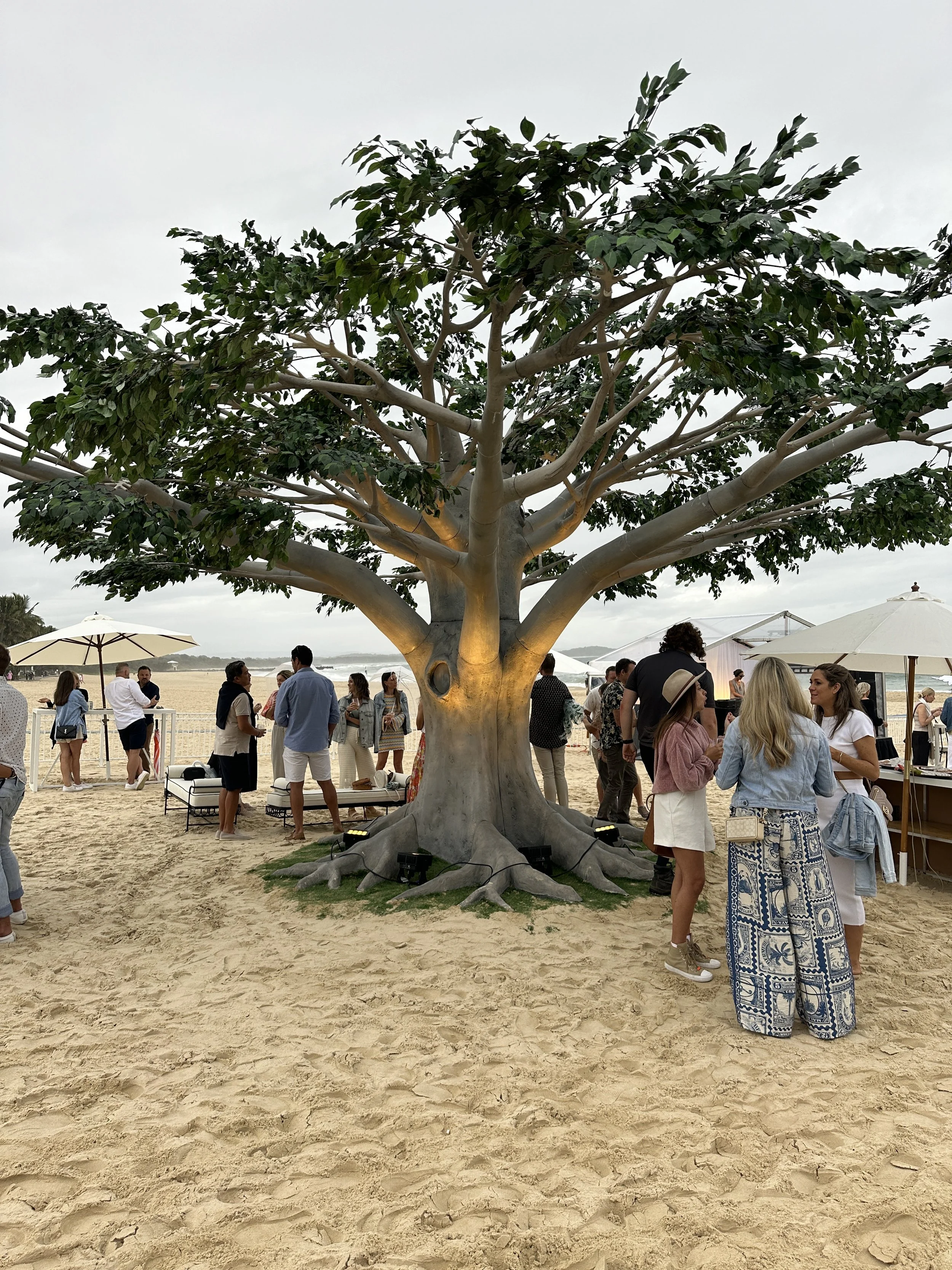 Autumn-Grove-Events-4.5m-Fig-Tree-Noosa-Food-and-Wine-Festival.JPG