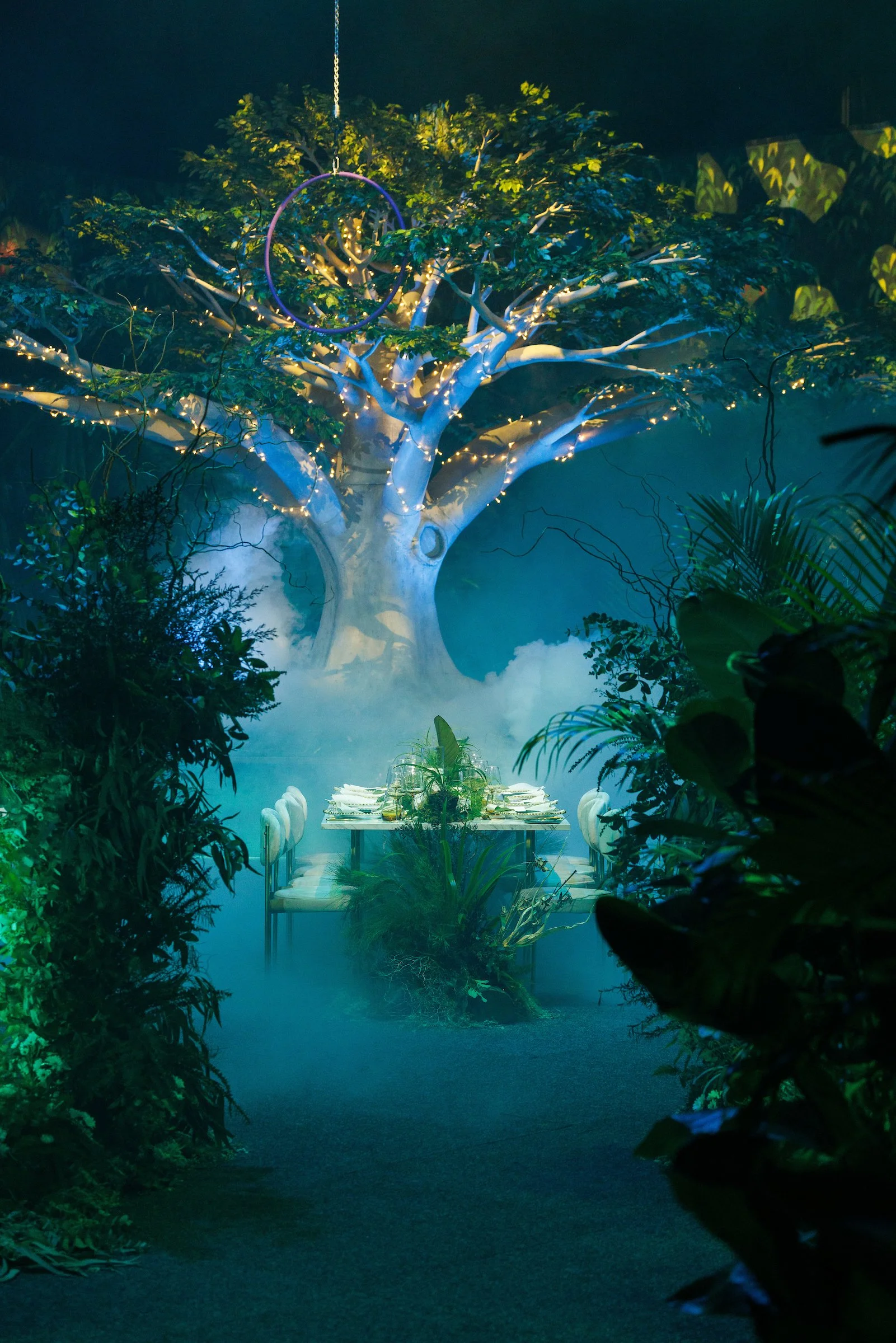 Autumn-Grove-Events-4.5m-Fig-Tree-GCCEC.jpg