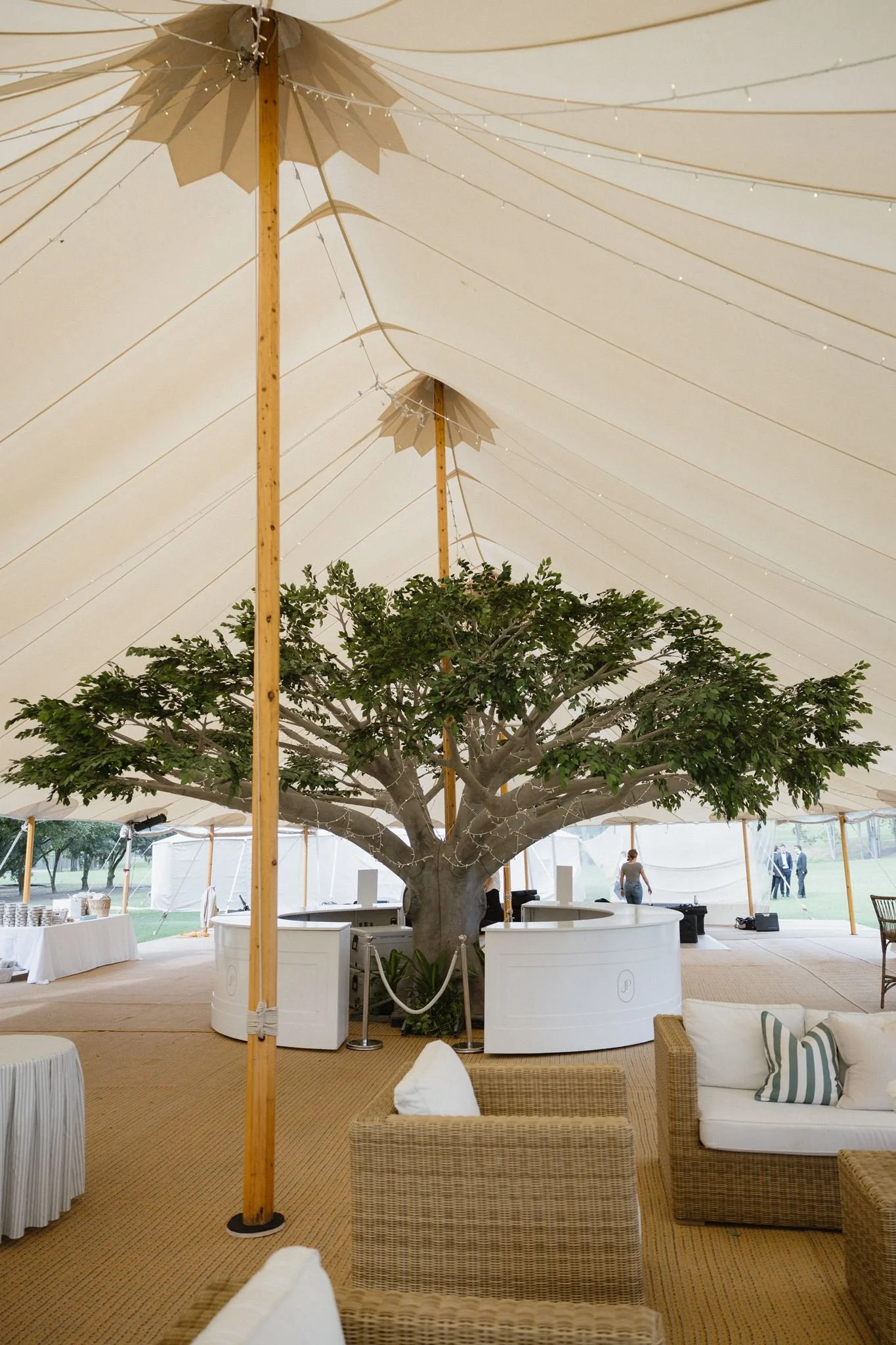 Autumn-Grove-Events-4.5m-Fig-Tree-Marquee.jpg