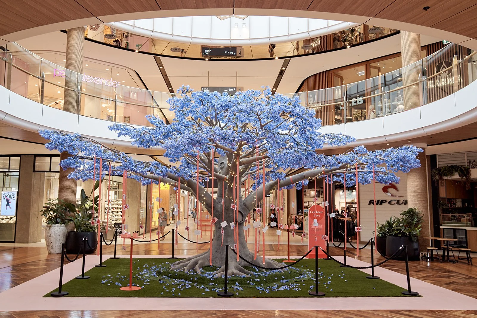 230201-Sunshine Plaza-0024.jpg