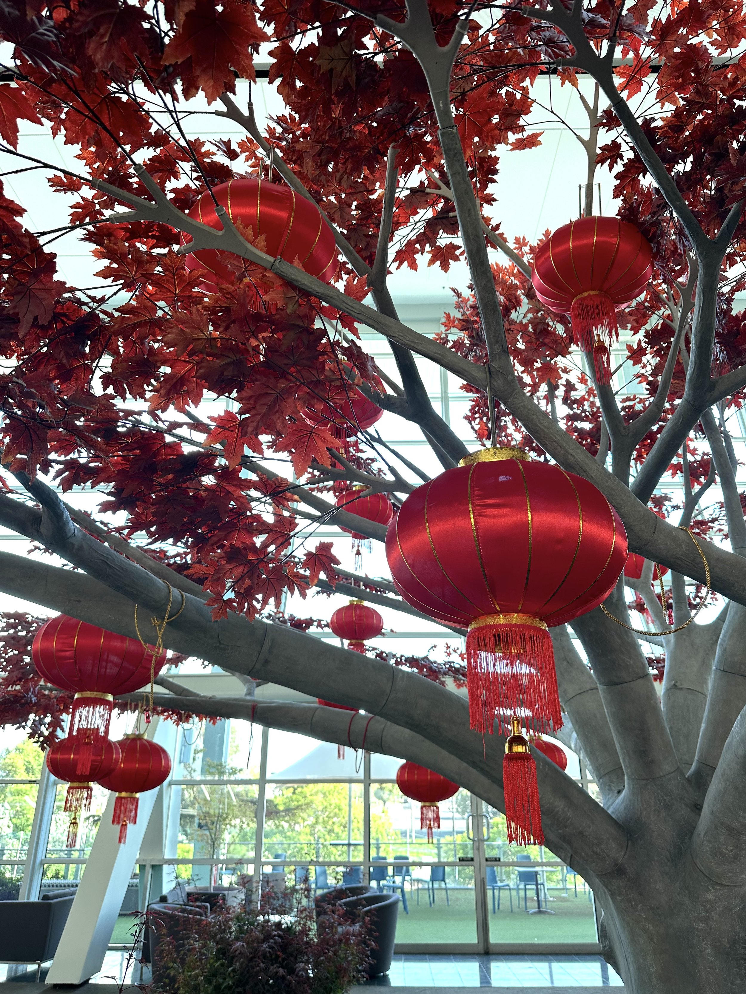 Autumn-Grove-Events-Chinese-Lanterns-In-Tree-2.jpg