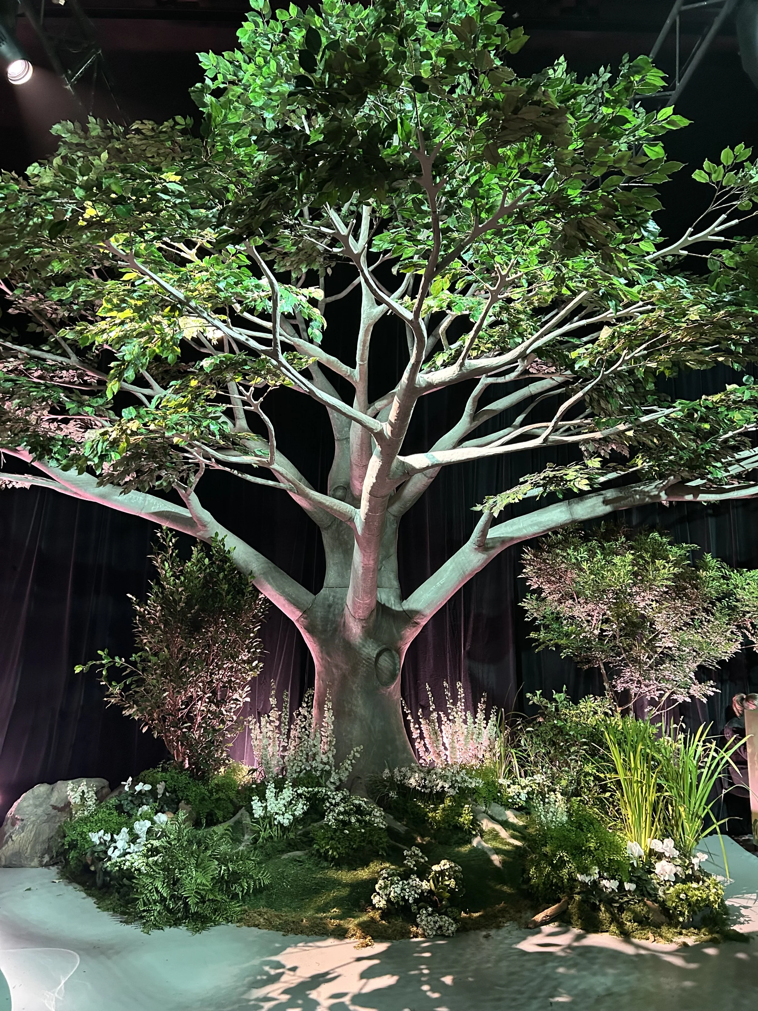 Autumn-Grove-Events-Giant-6m-Fig-Half-Front.jpg