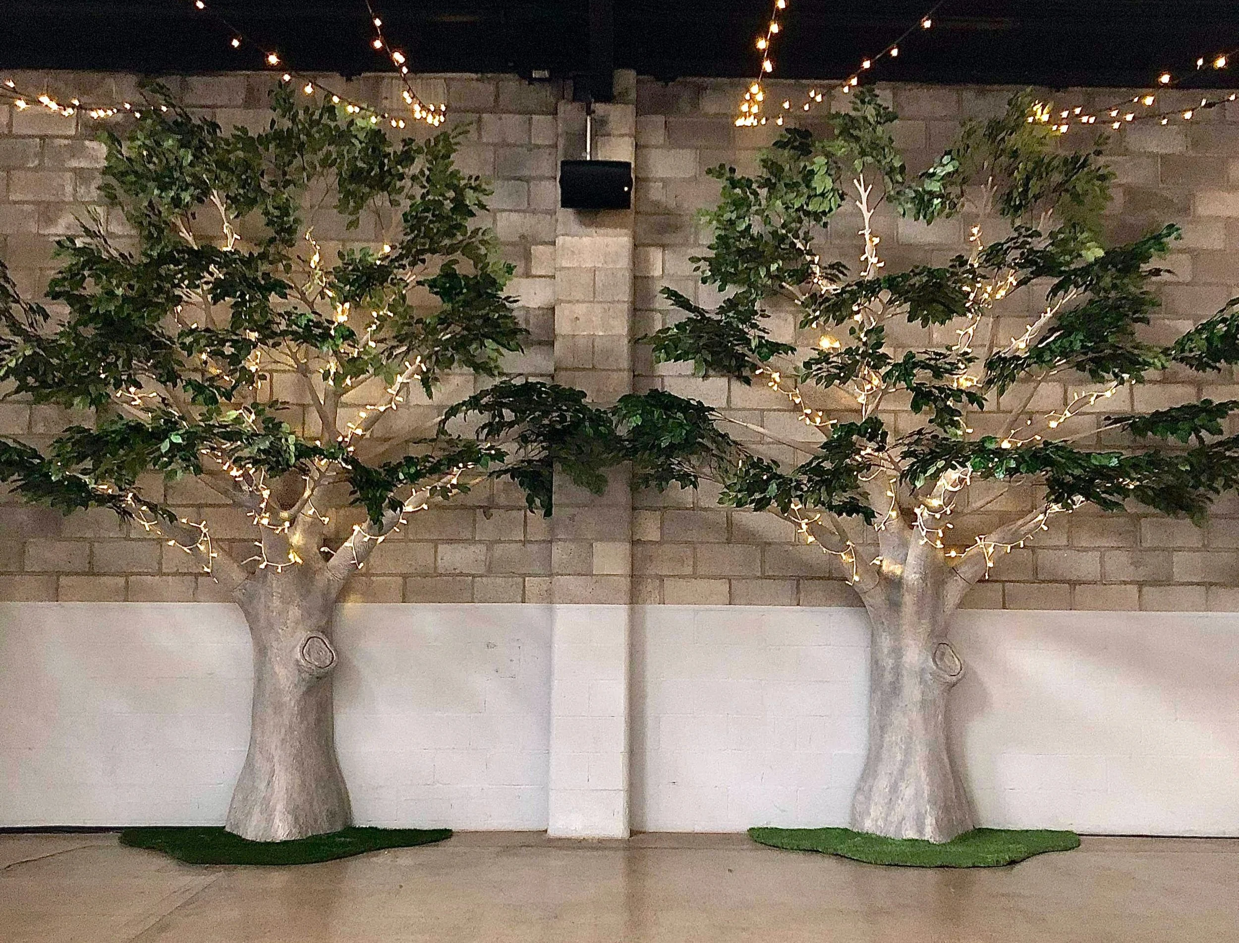 4m Elm Tree — Autumn Grove Events