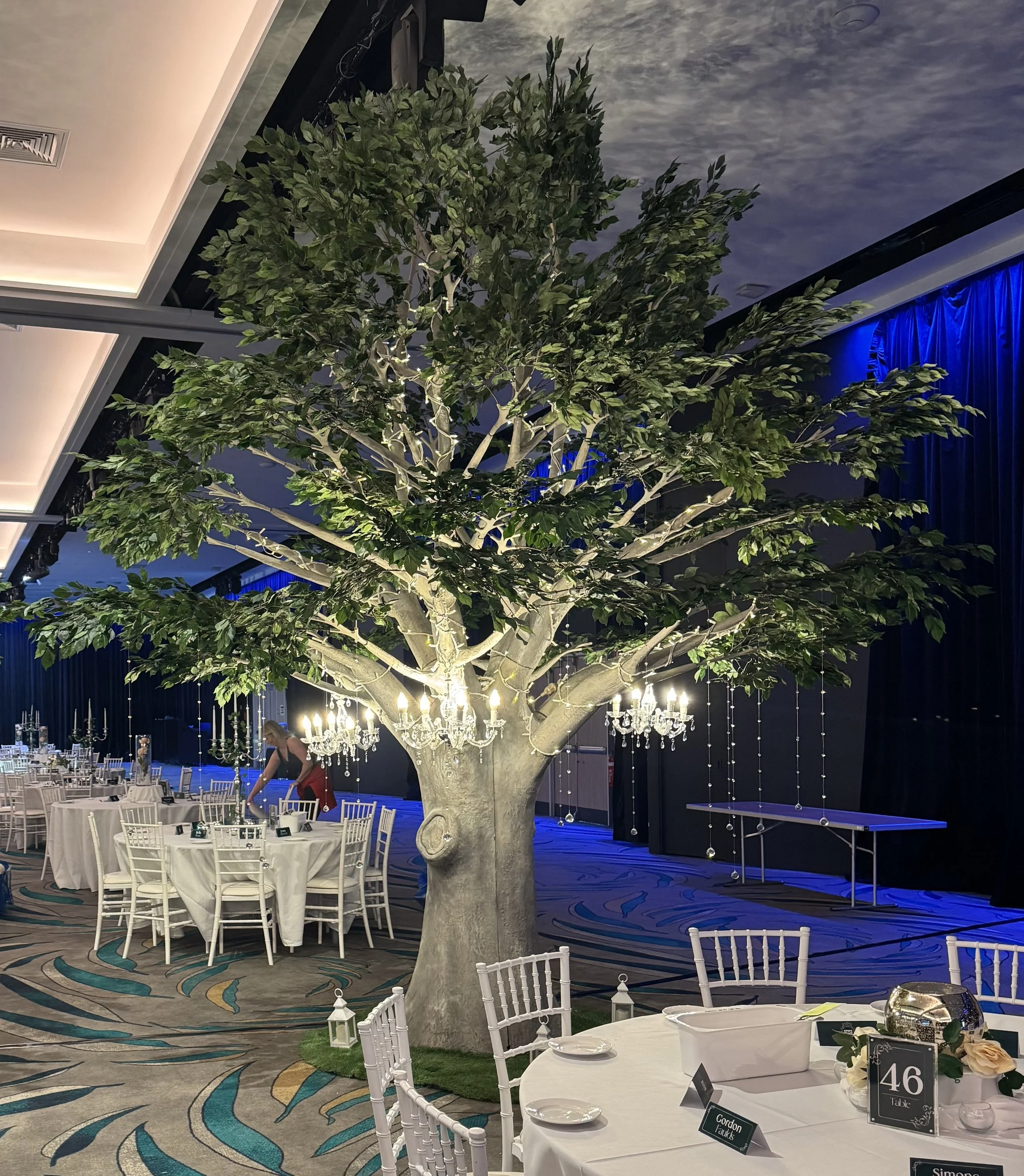 Autumn-Grove-Elm-Tree-Hire.jpg