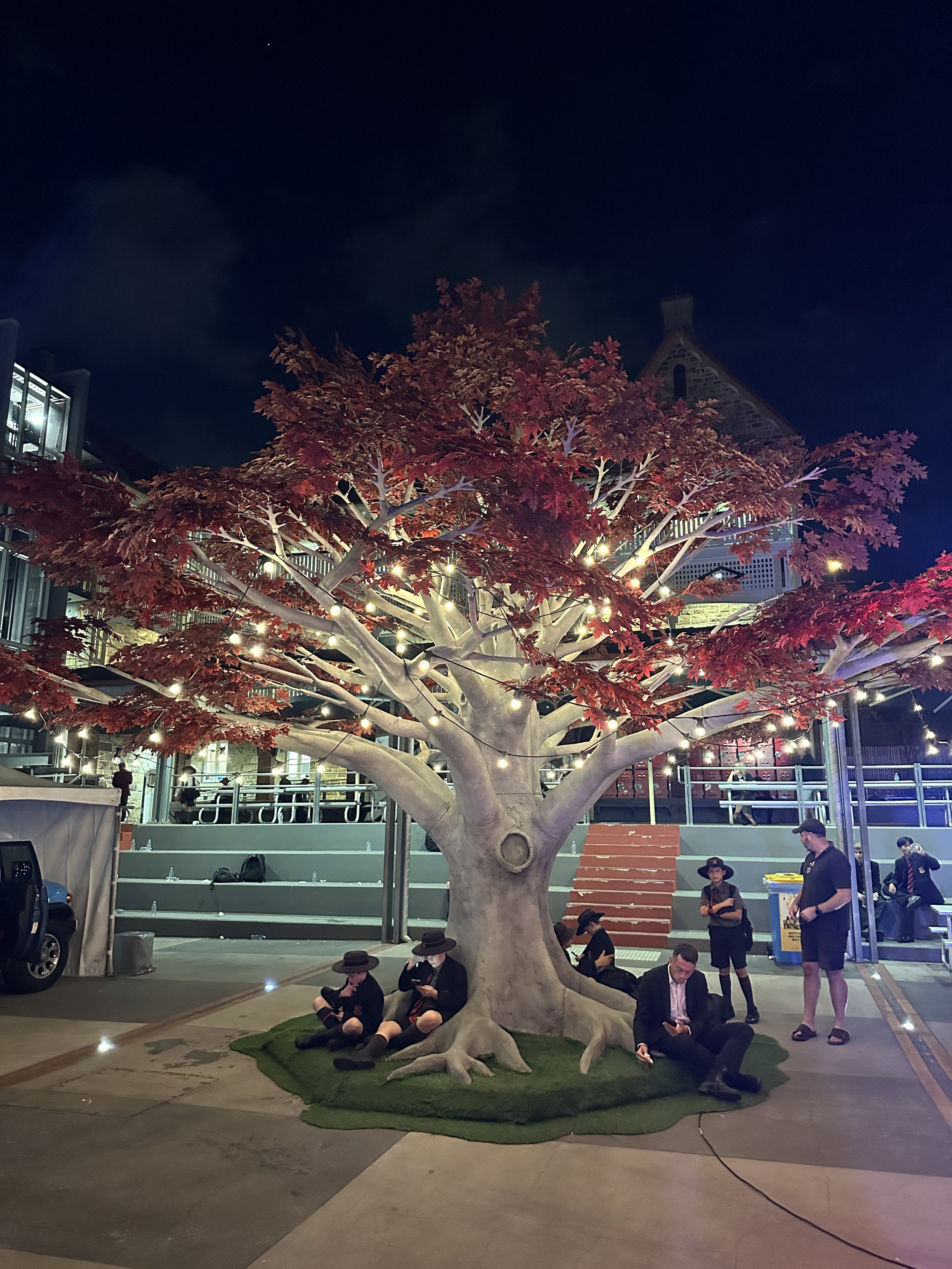 Autumn-Grove-Events-Red-Maple-Tree-St-Jospehs-Night.JPG