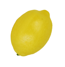 LEMONS to suspend