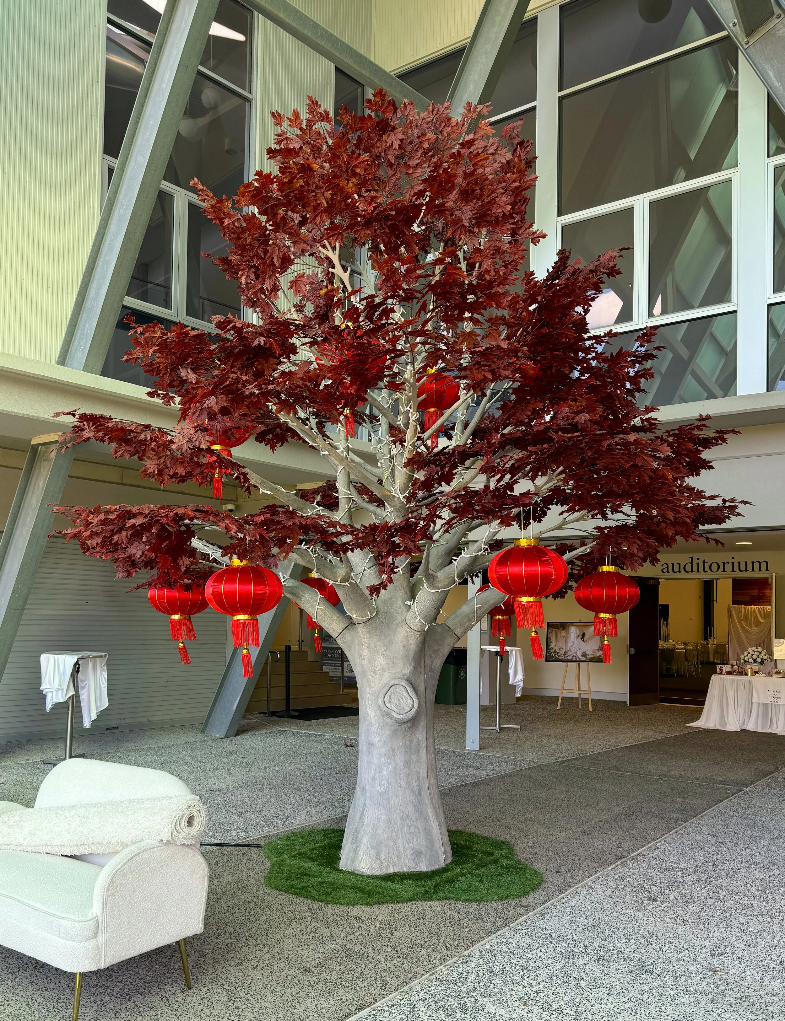 Autumn-Grove-Events-Red-Maple-Tree-Elm-Size.jpg