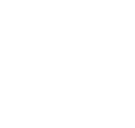 FIRST STAGE