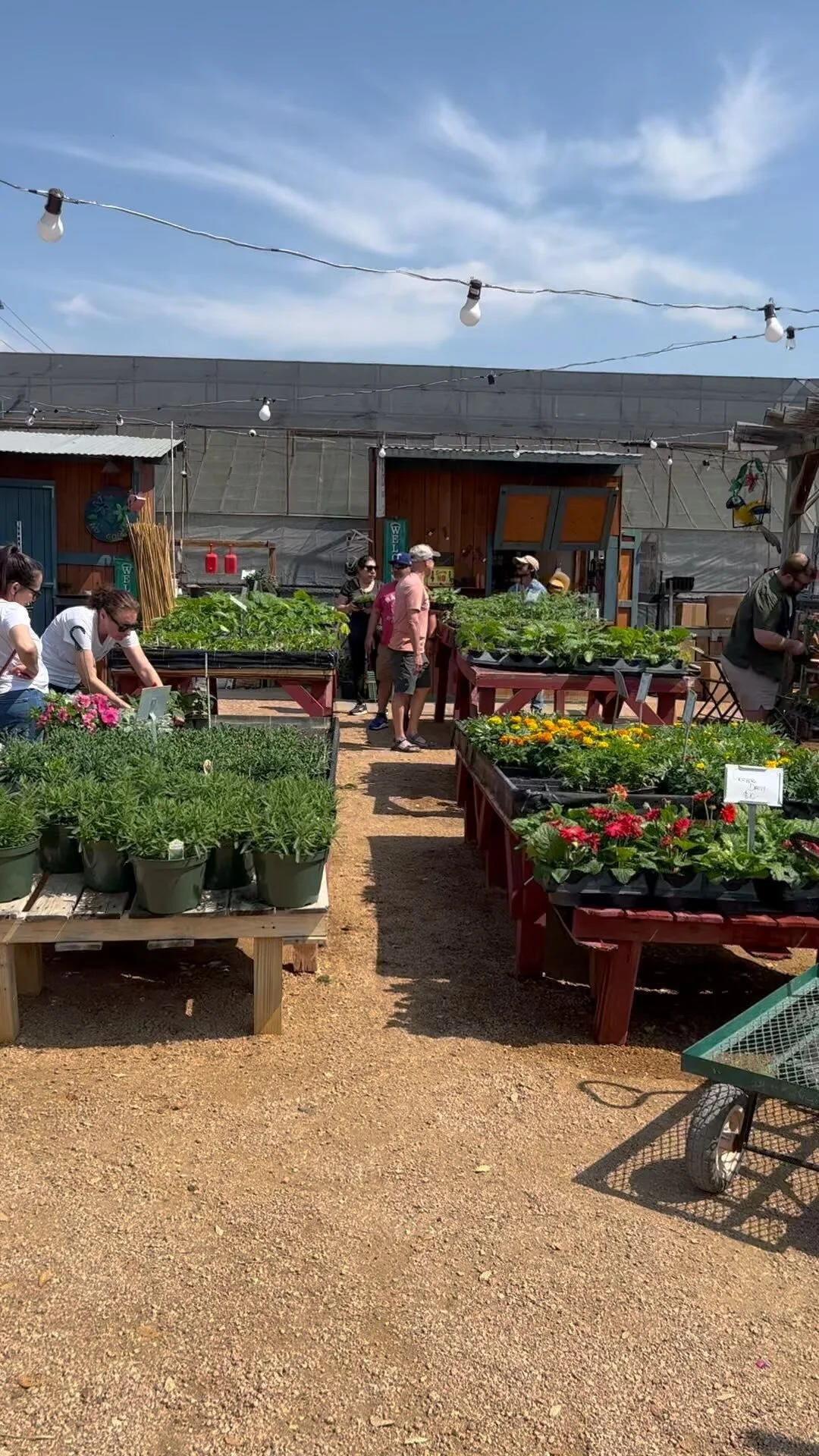 Evergreen Garden Center