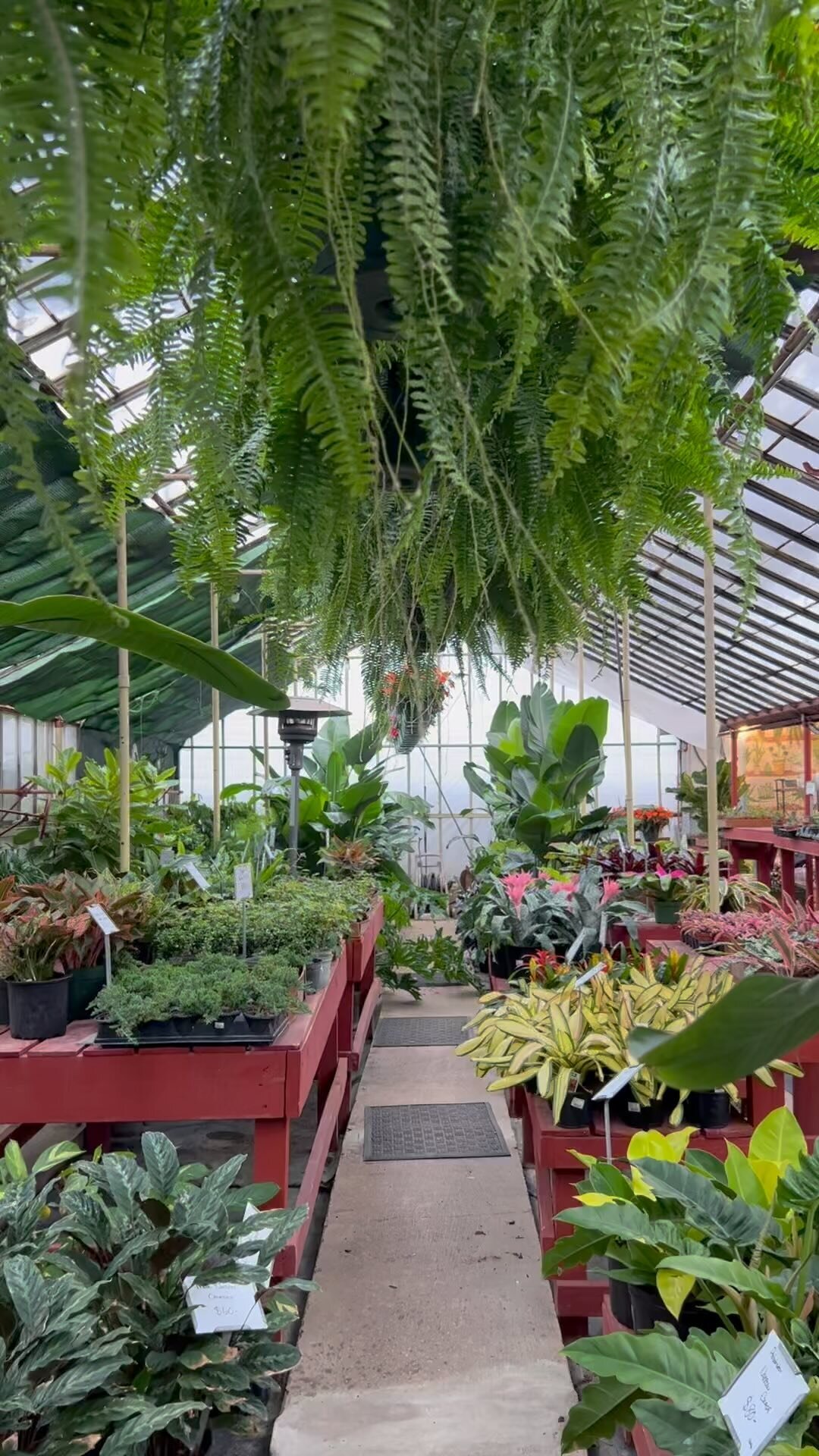 Evergreen Garden Center