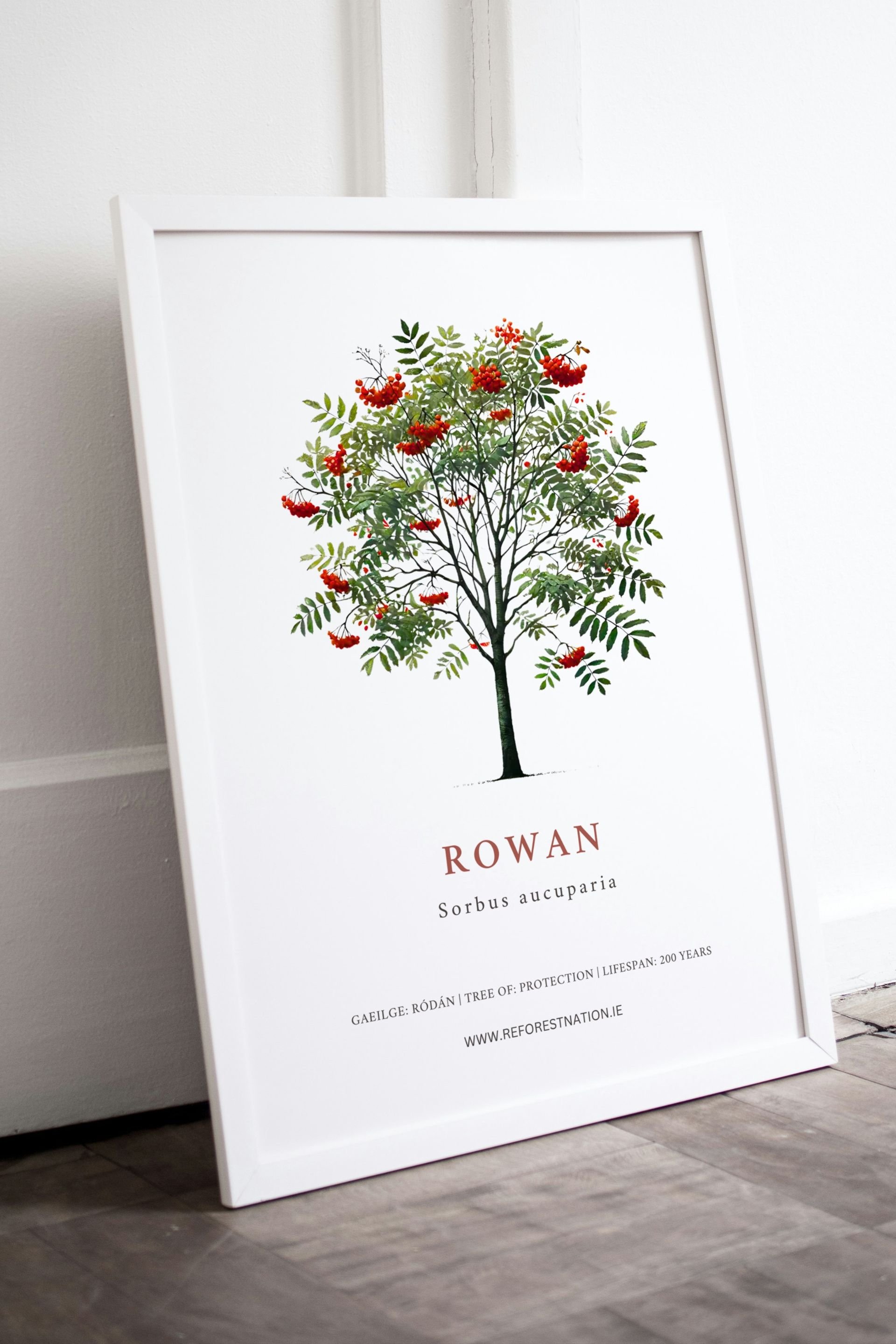rowan-artwork.jpg