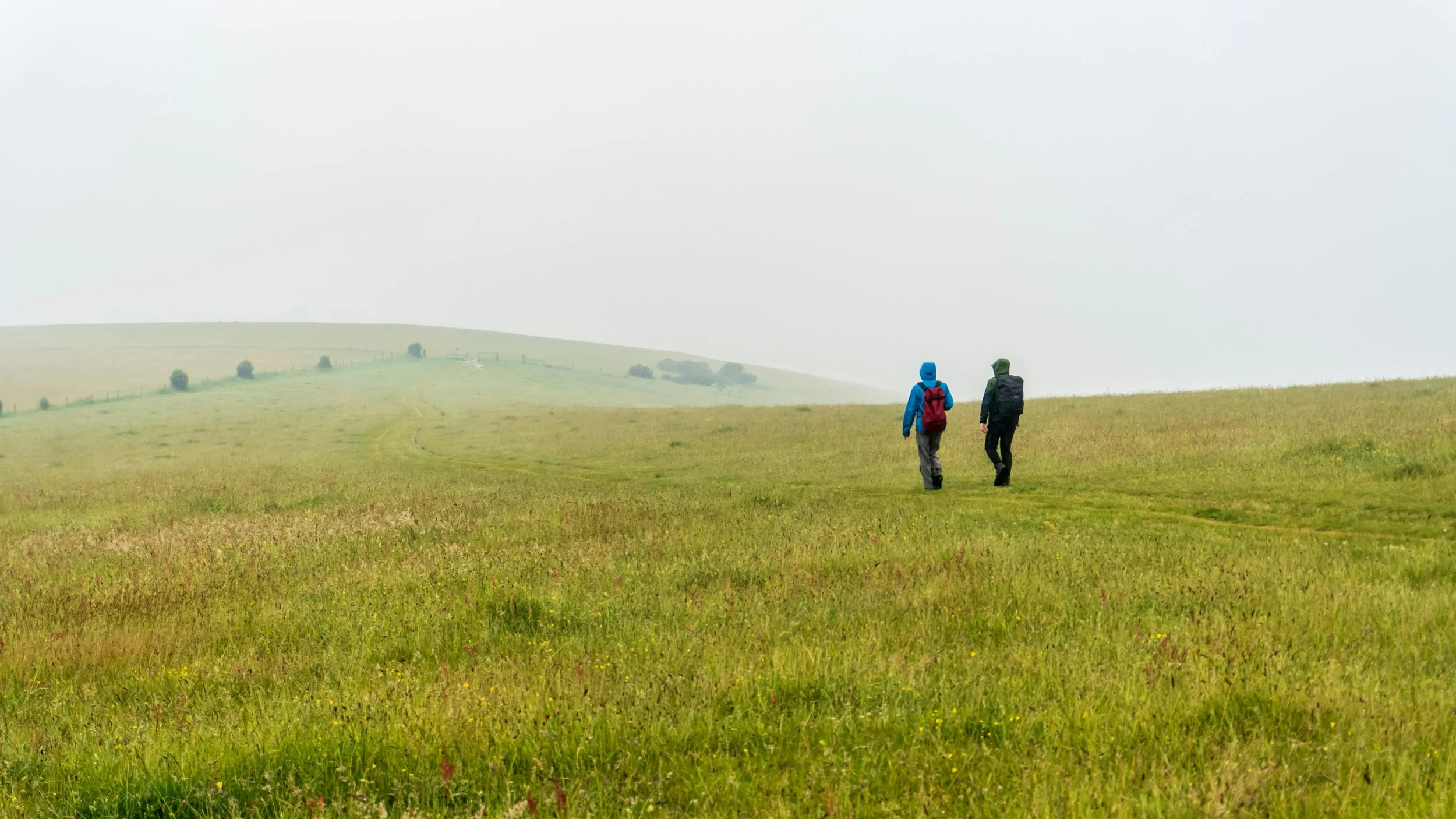Two hikers walking across an open grassland landscape symbolizing human vulnerability in prehistoric environments dominated by deadly apex predators.