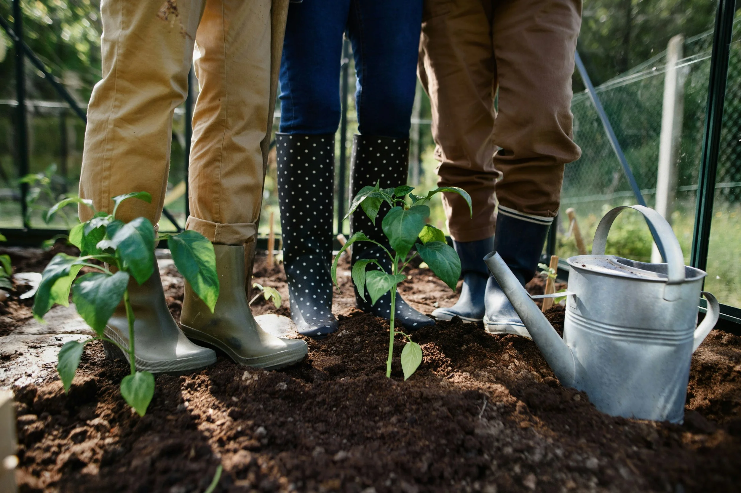 Gardeners standing beside newly planted young plants and a watering can, demonstrating watering care for newly planted trees in a garden.