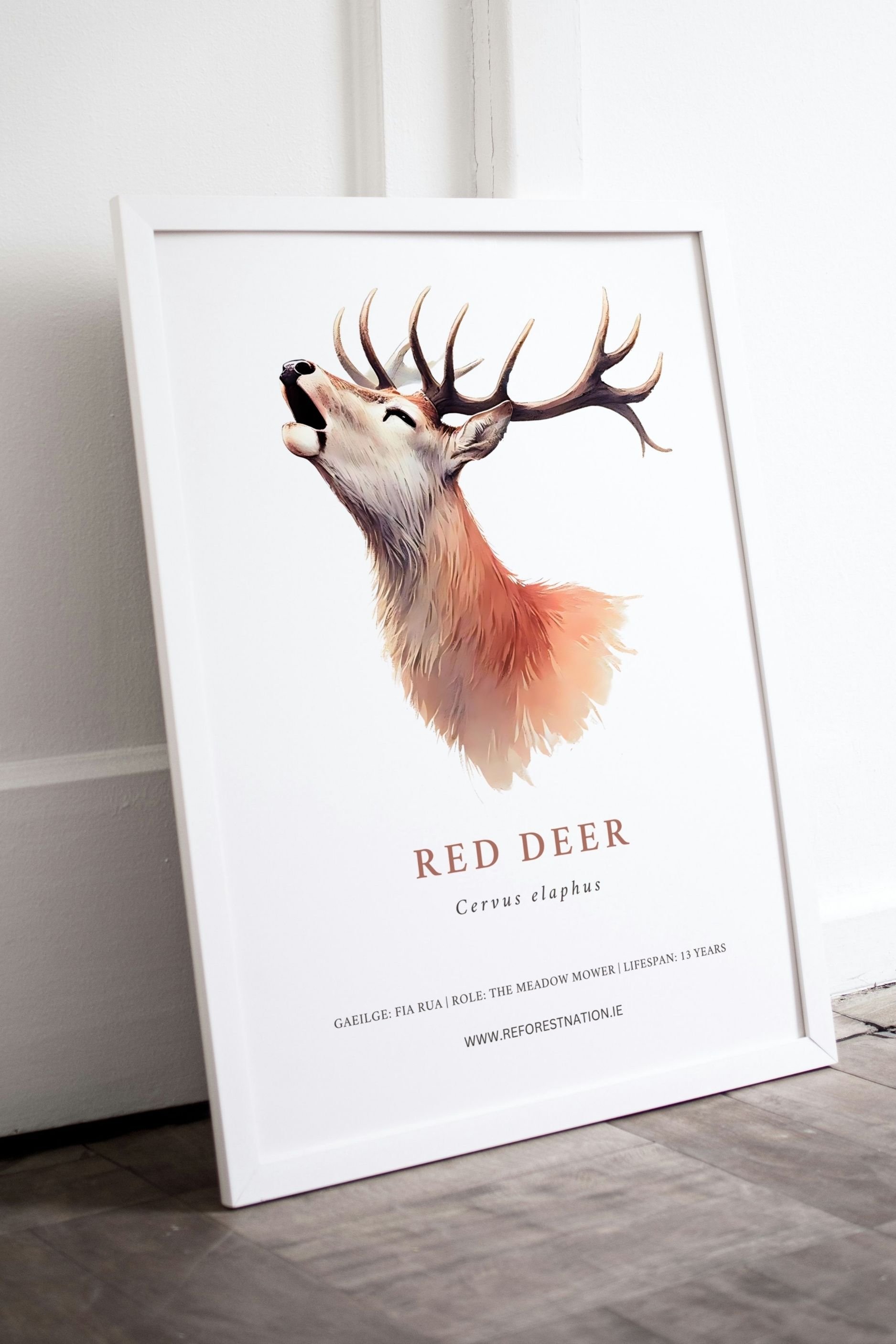 red-deer-artwork-2.jpg